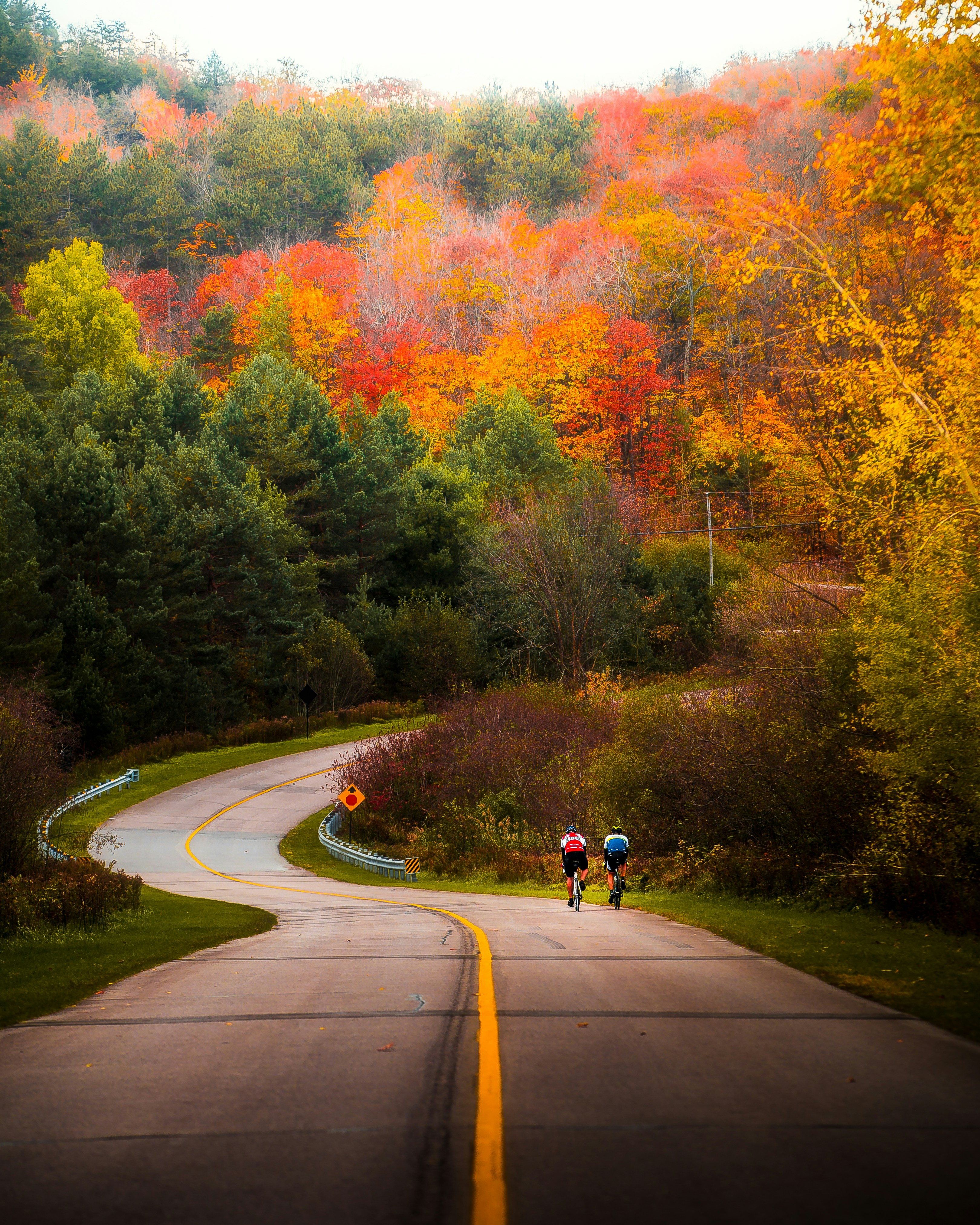 two bicyclists riding down a winding road in the fall