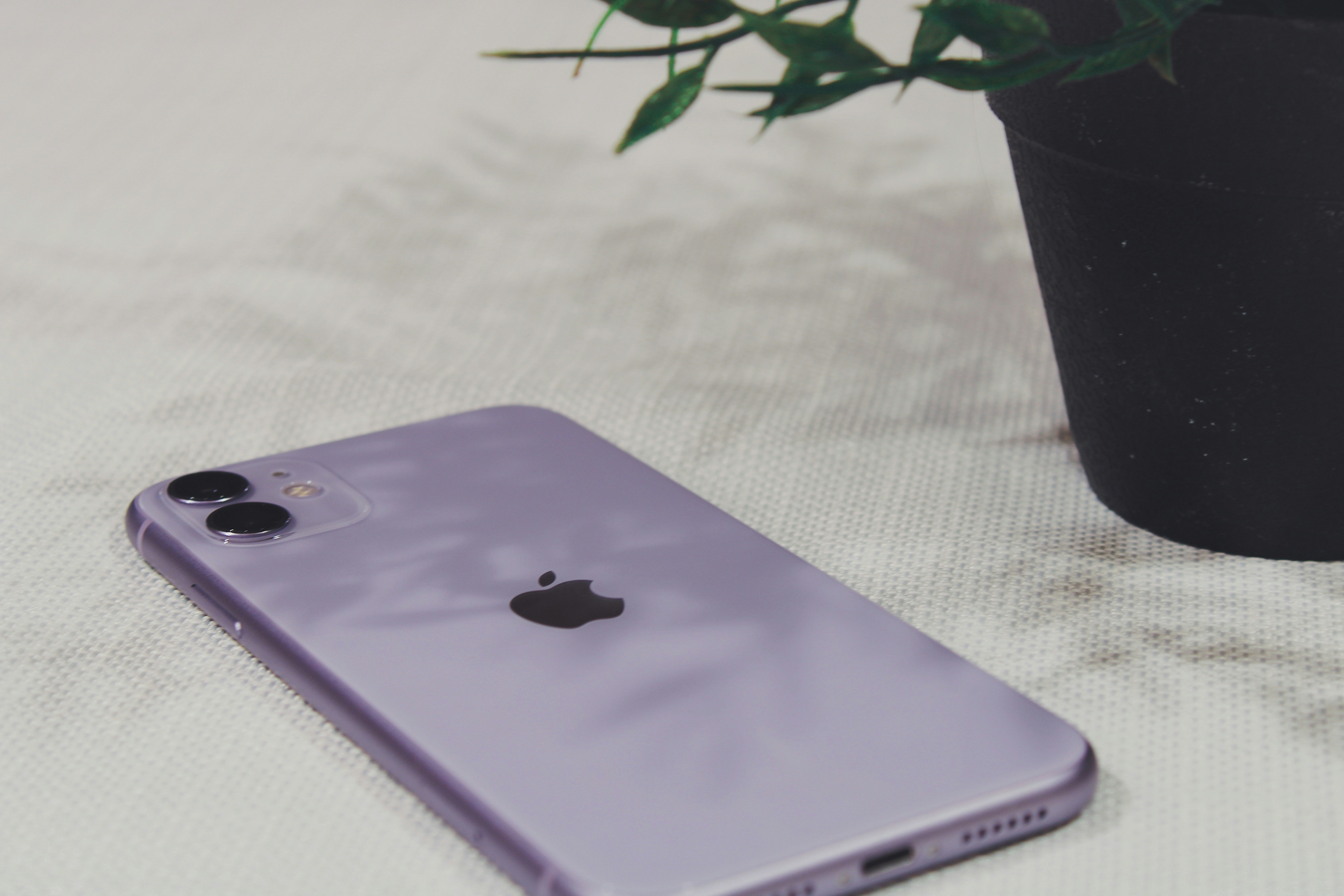 a purple iphone sitting next to a potted plant