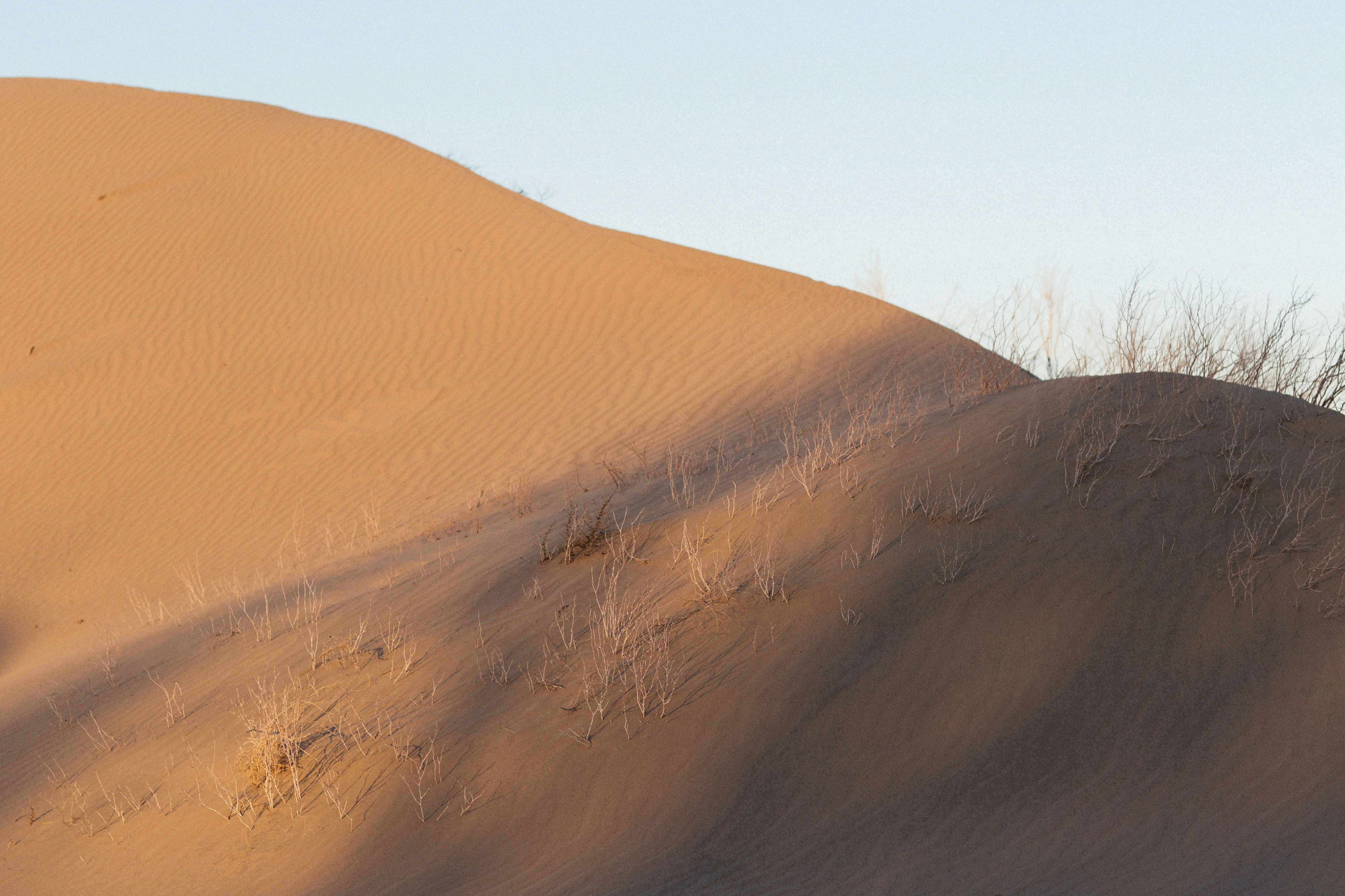 Photo by alexeydemidov