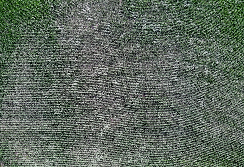 an aerial view of a green field with grass