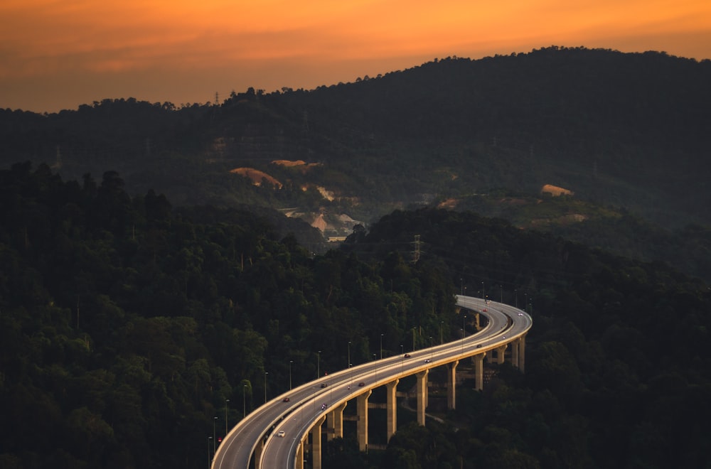 a highway going over a bridge in the middle of a forest