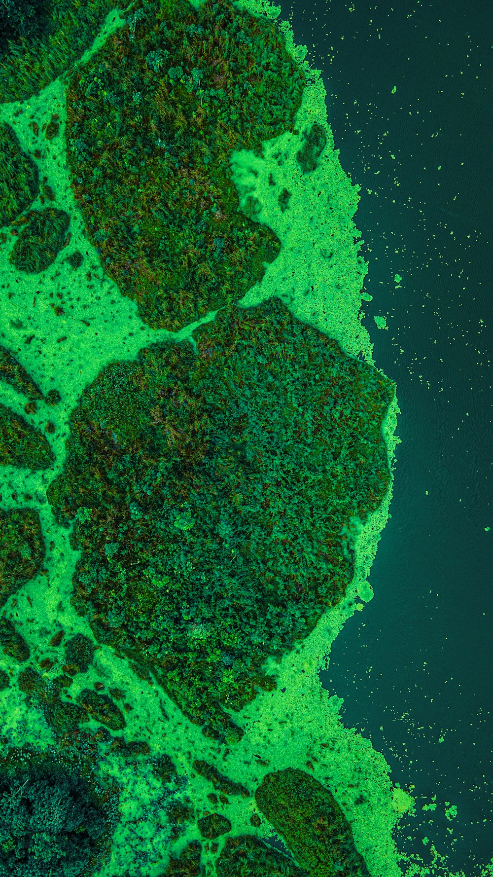 an aerial view of a body of water covered in green algae