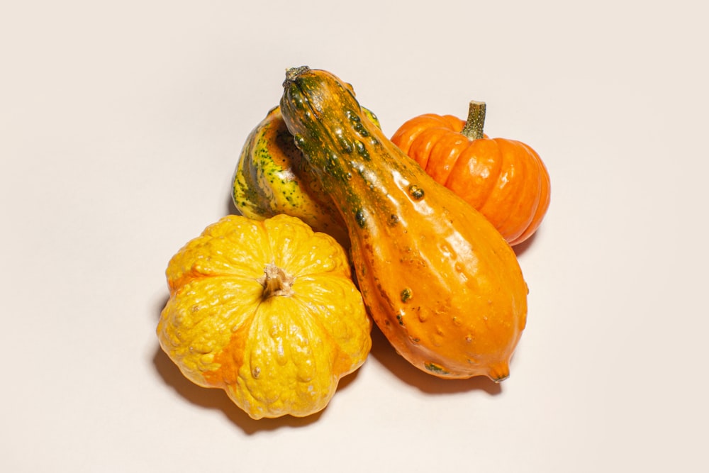 “Maximizing Yield Secrets of Squash Plant Cultivation”