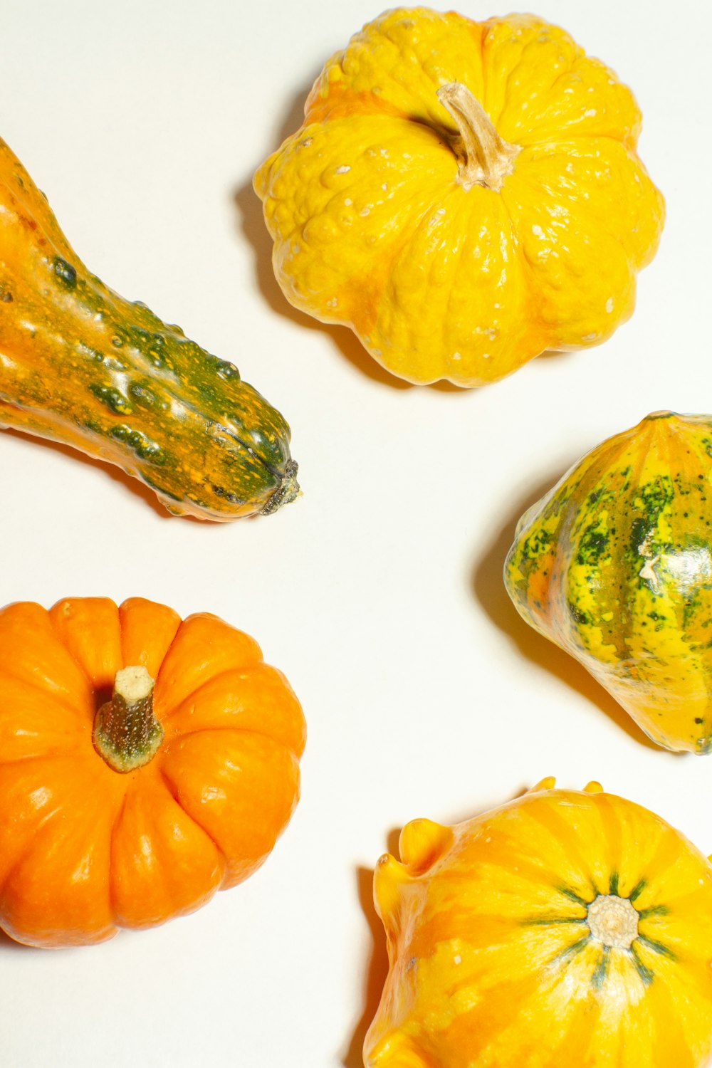 a group of pumpkins sitting on top of a white table