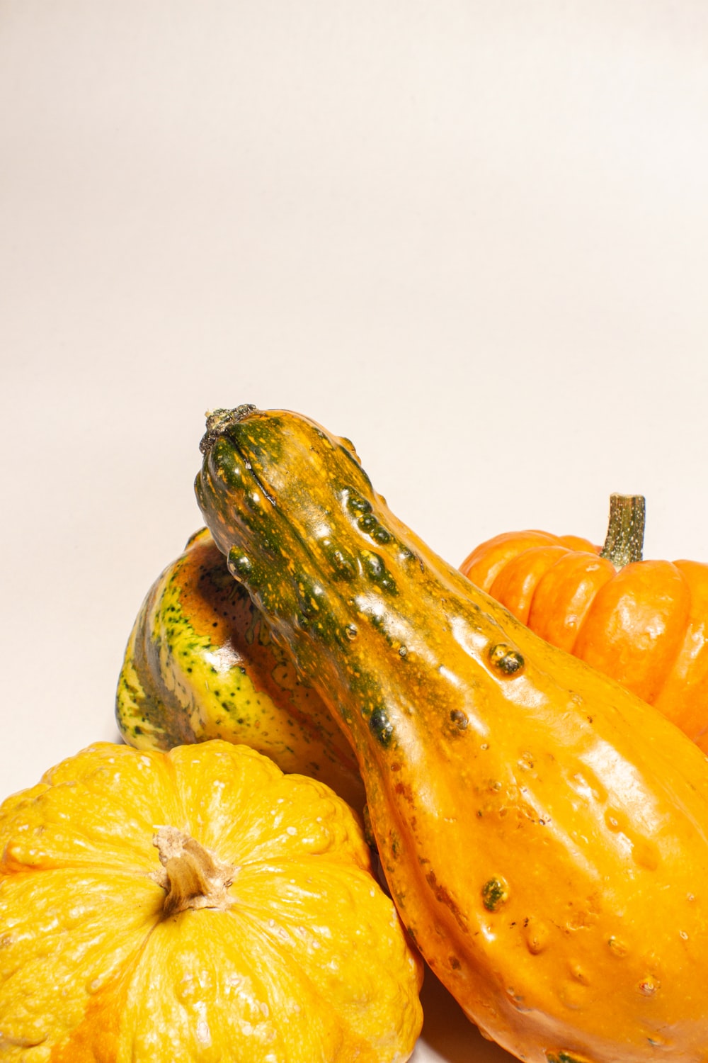 a group of pumpkins sitting on top of a white table