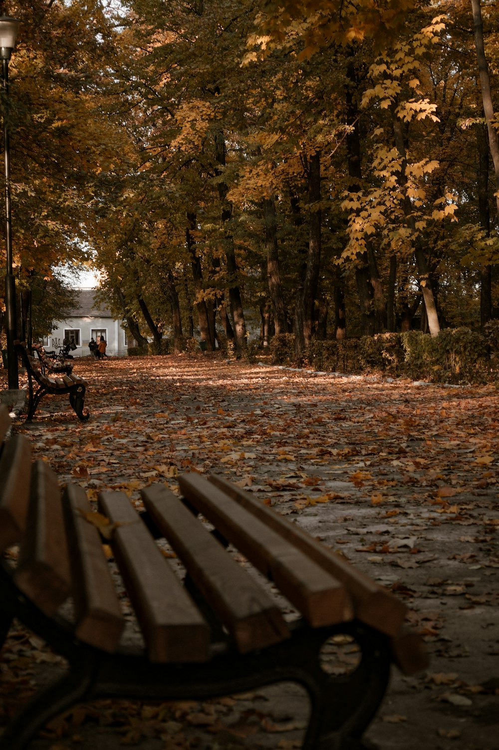 a park bench sitting in the middle of a park