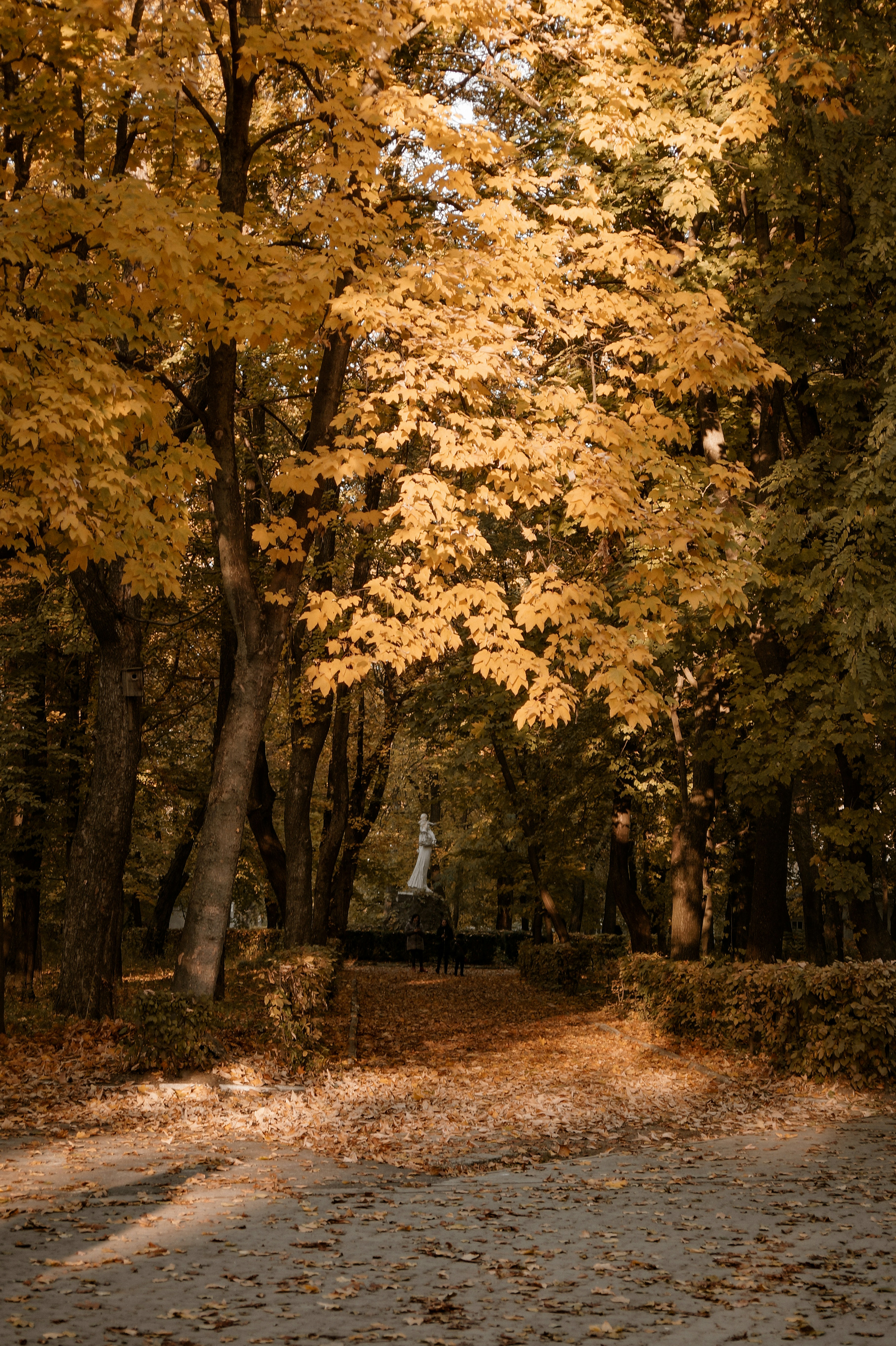 Photo by valentine_ivanova