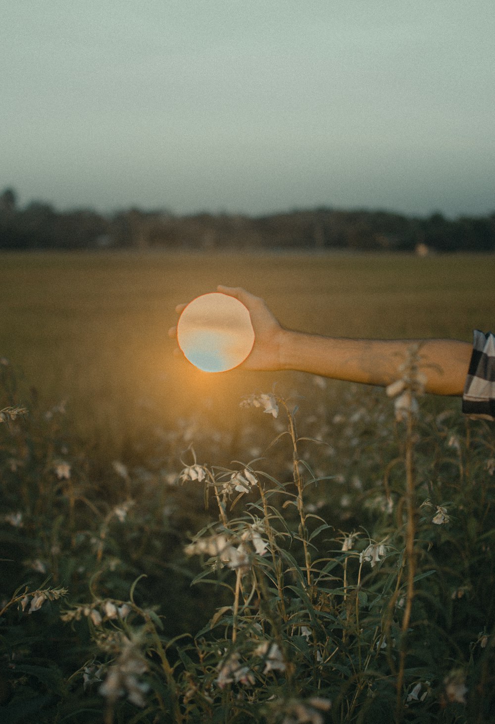 a person's hand holding a light in a field