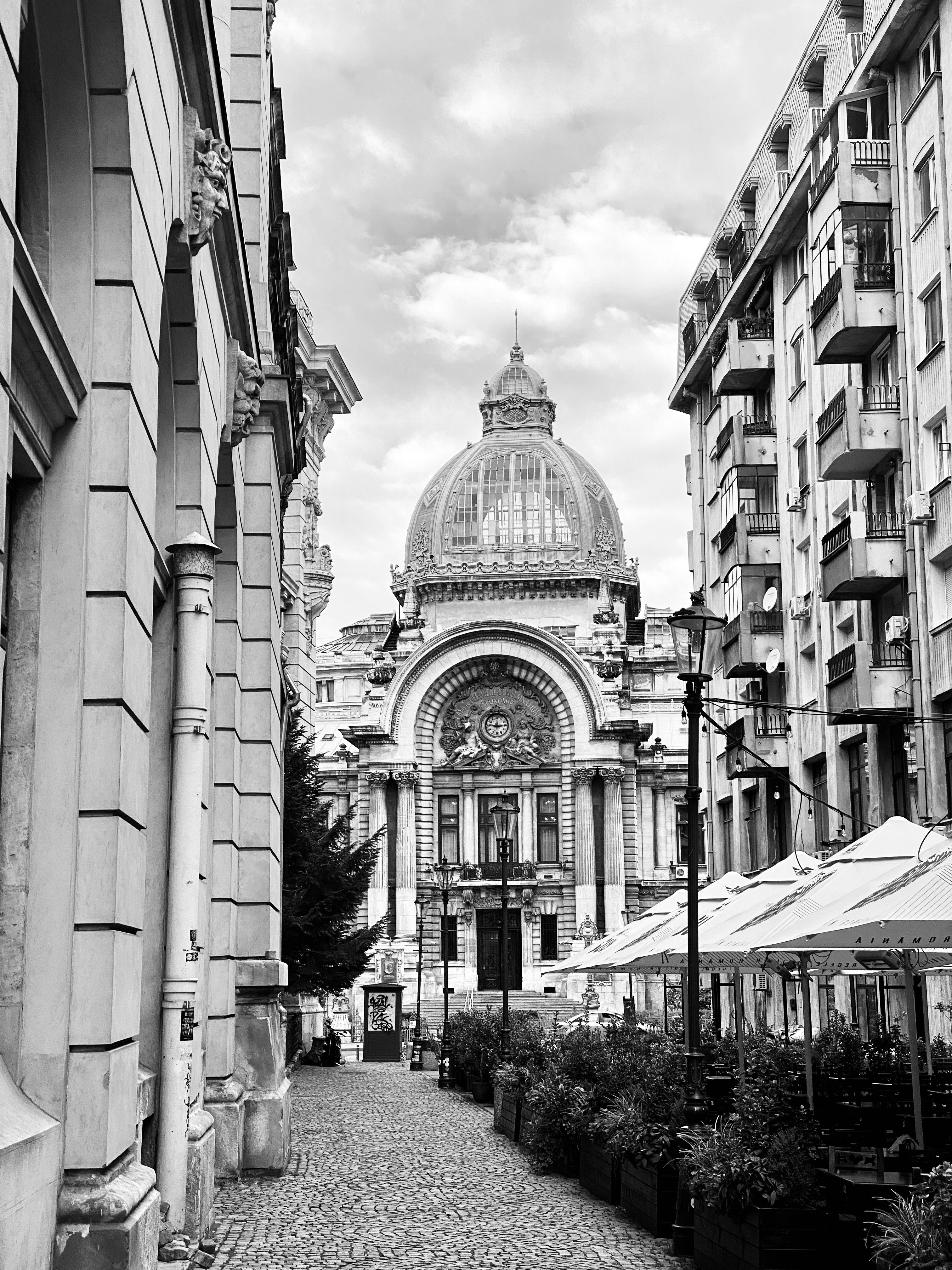 Photo by sarurobert1