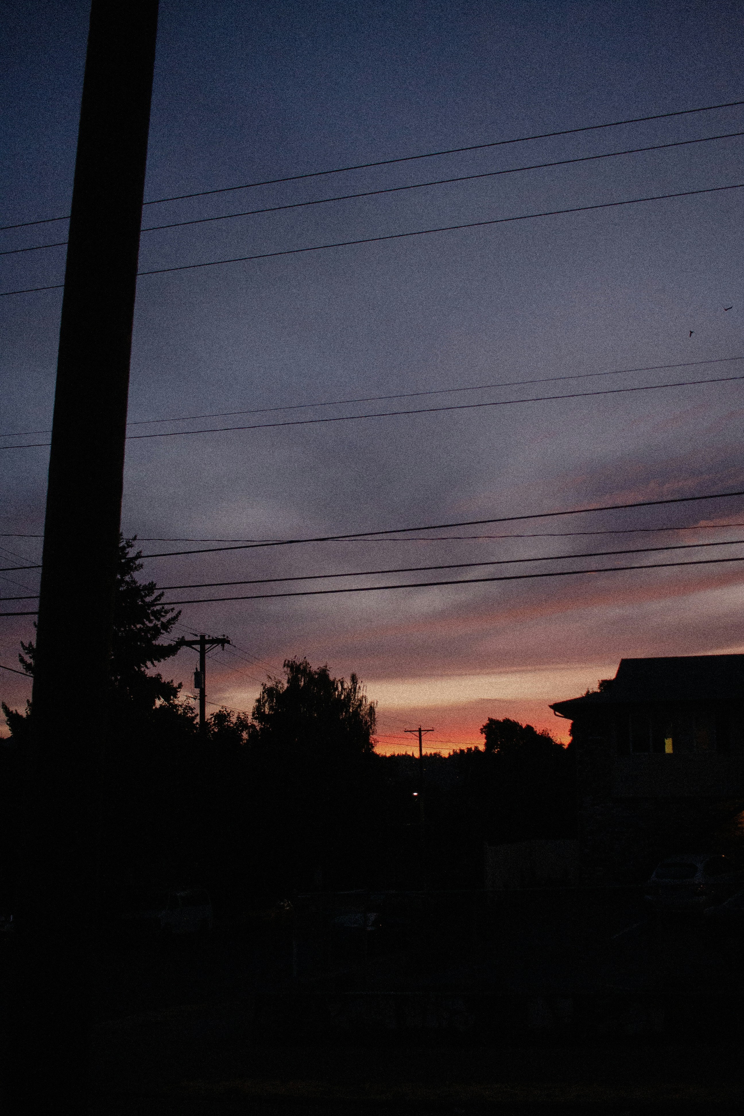 Photo by davidschultz