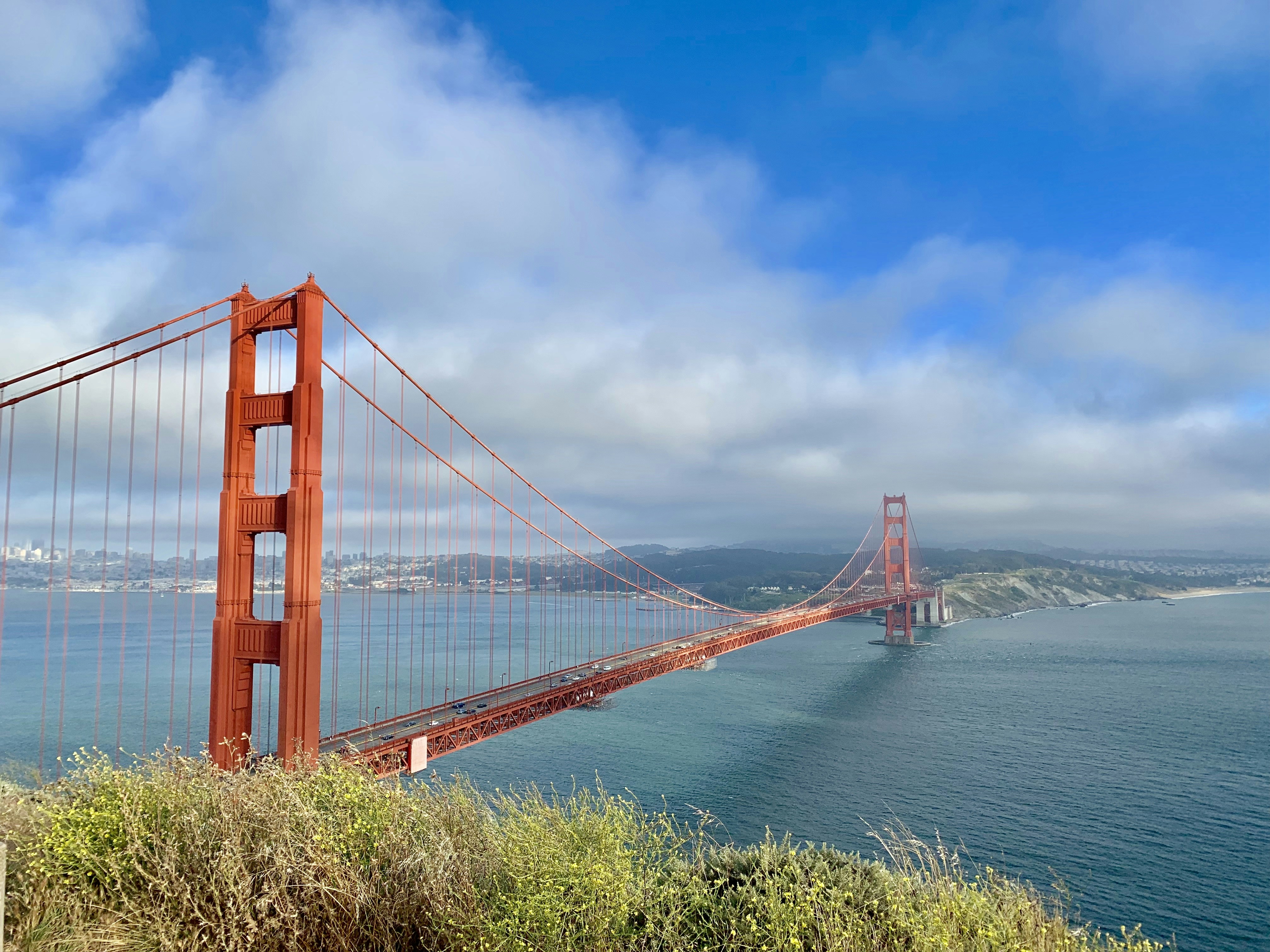 Photo by kalyanaraman55