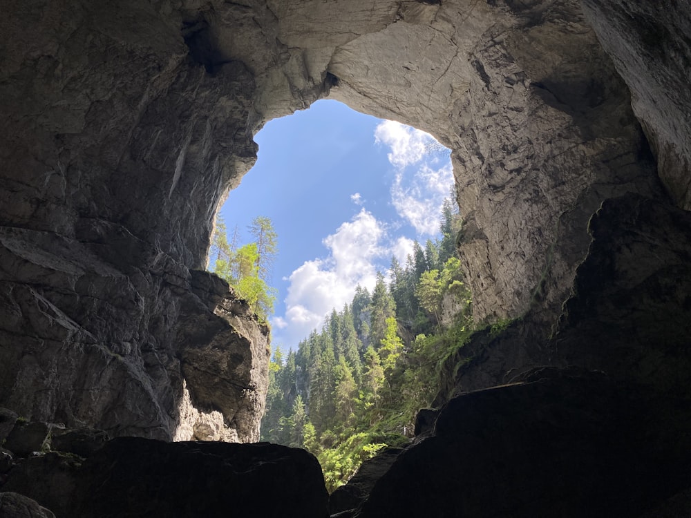 a cave entrance with trees in the background