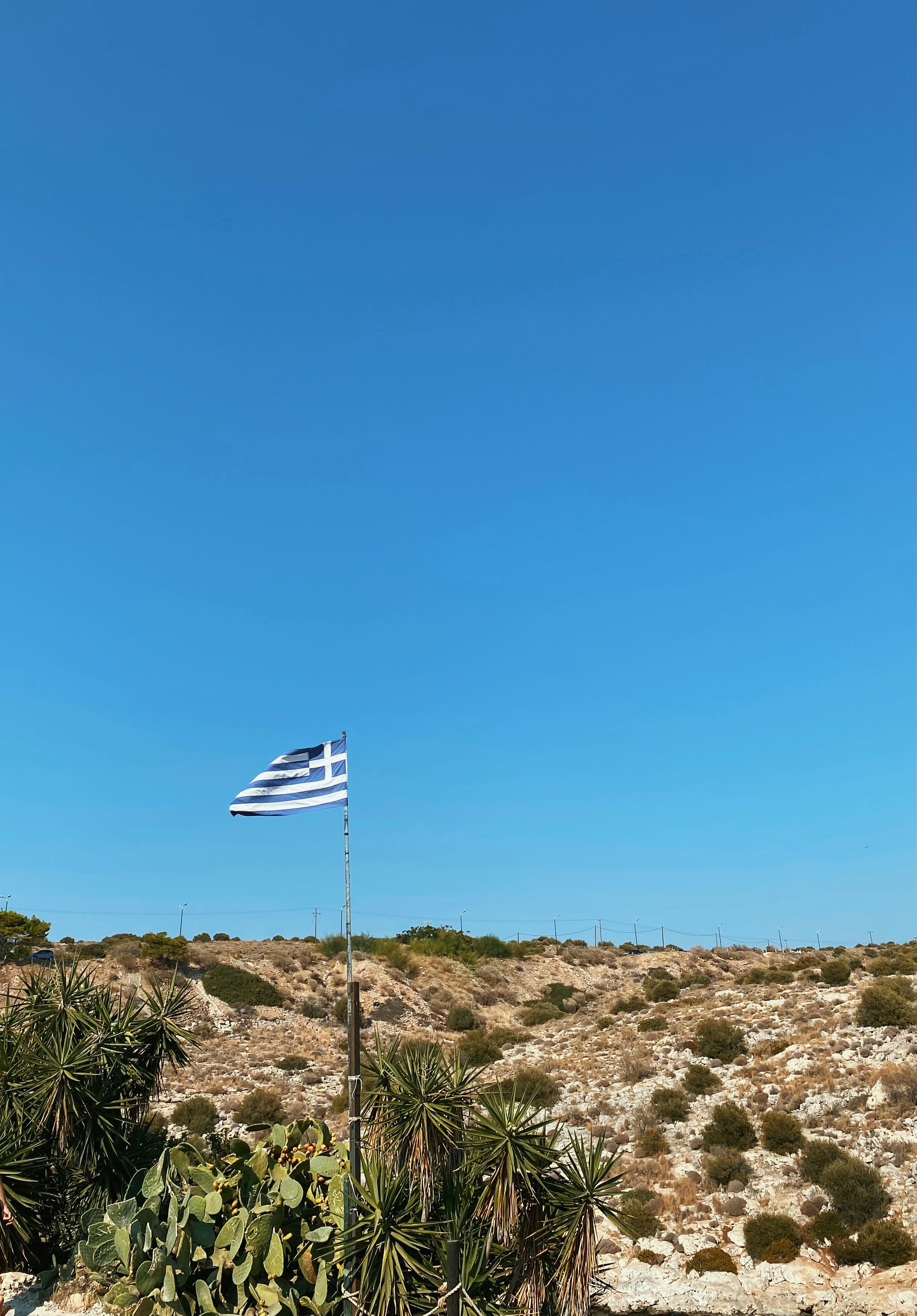 a flag on a pole in the middle of a desert