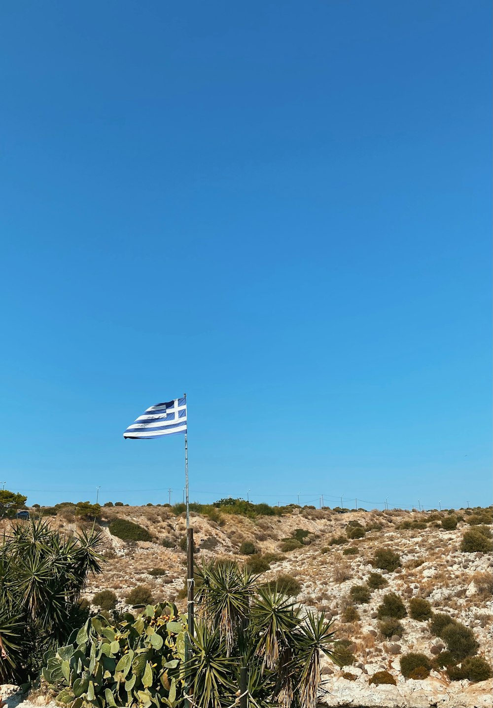 a flag on a pole in the middle of a desert