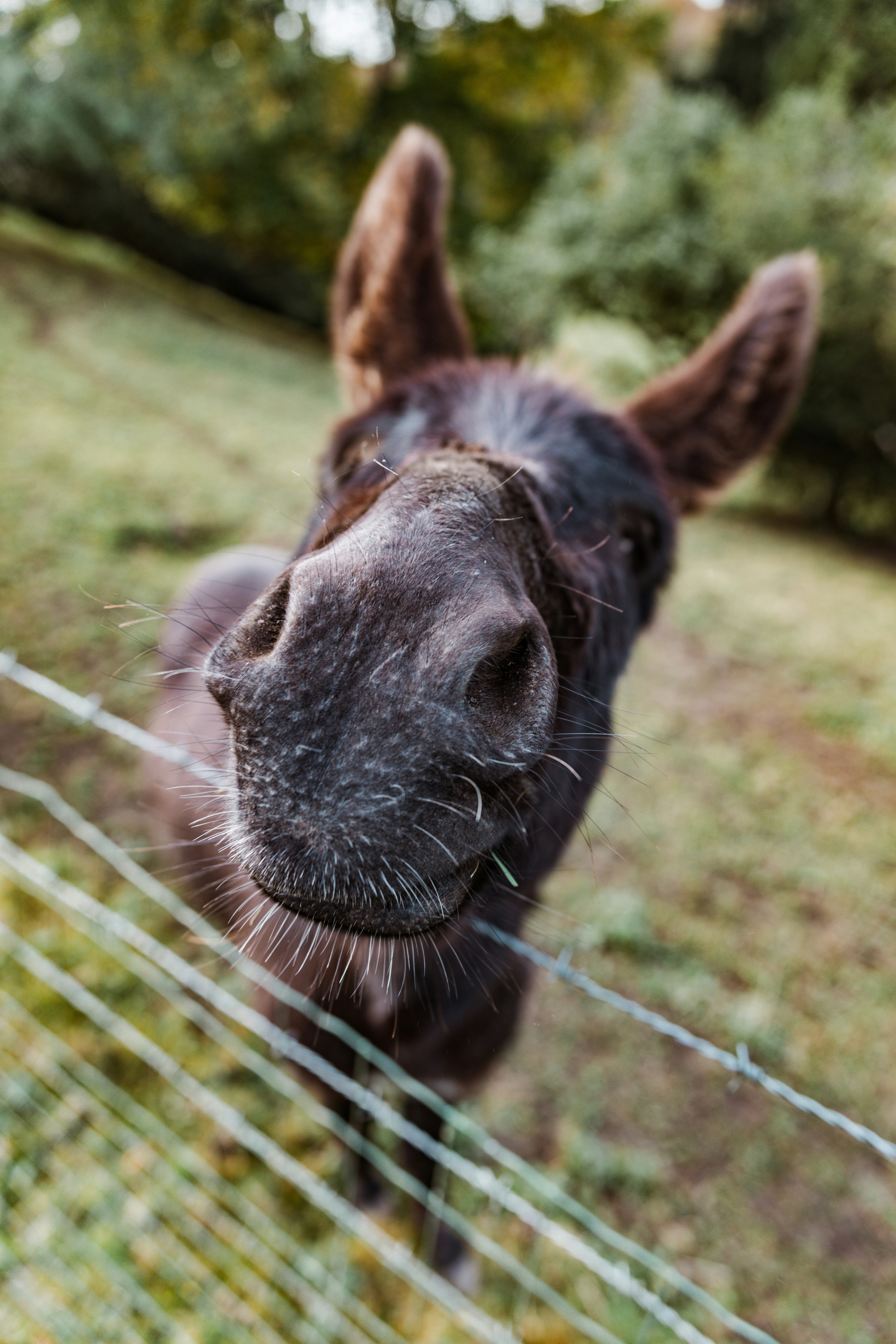 Photo by brechtdenil