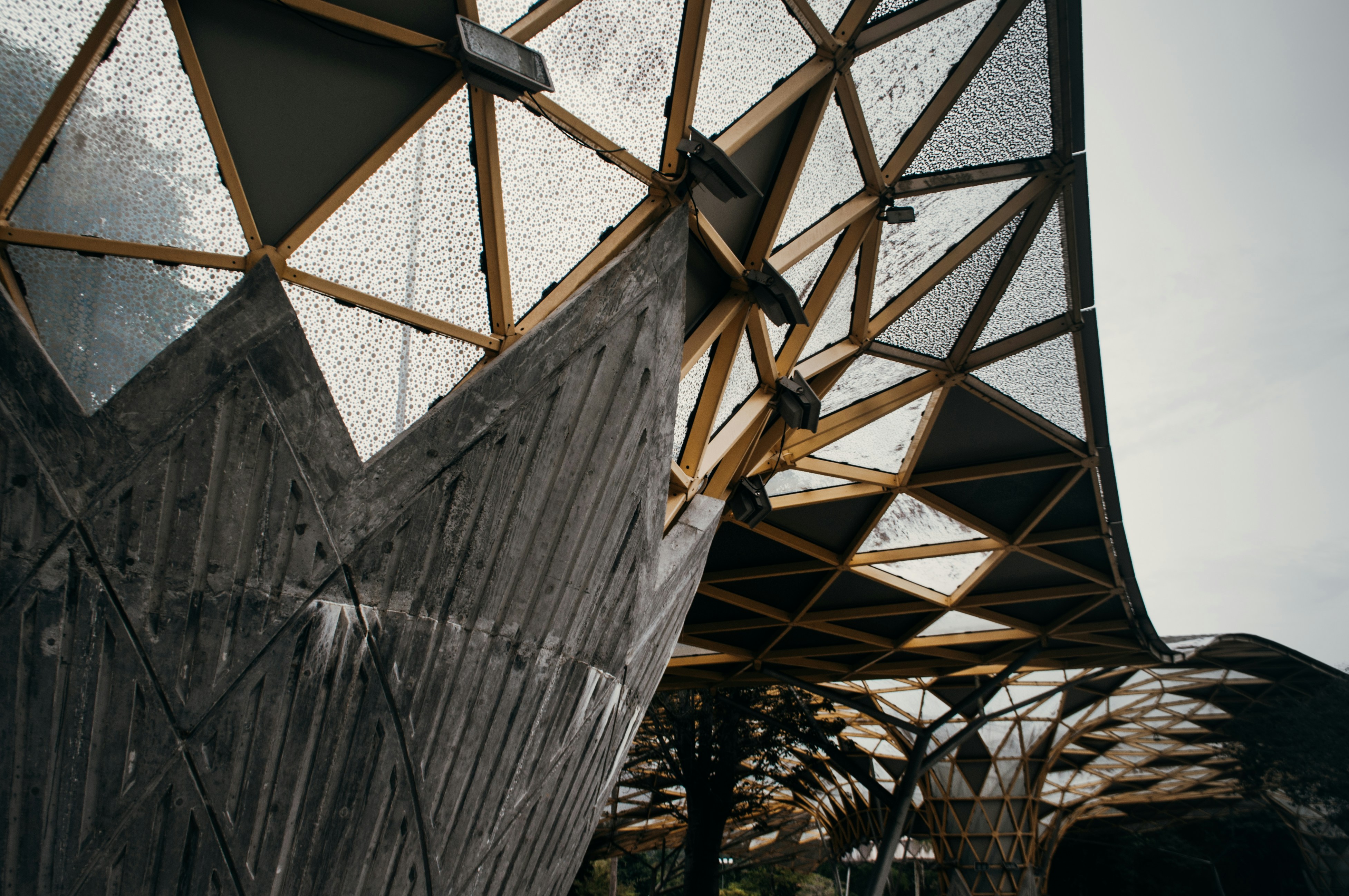 Photo by nelsonwongisme