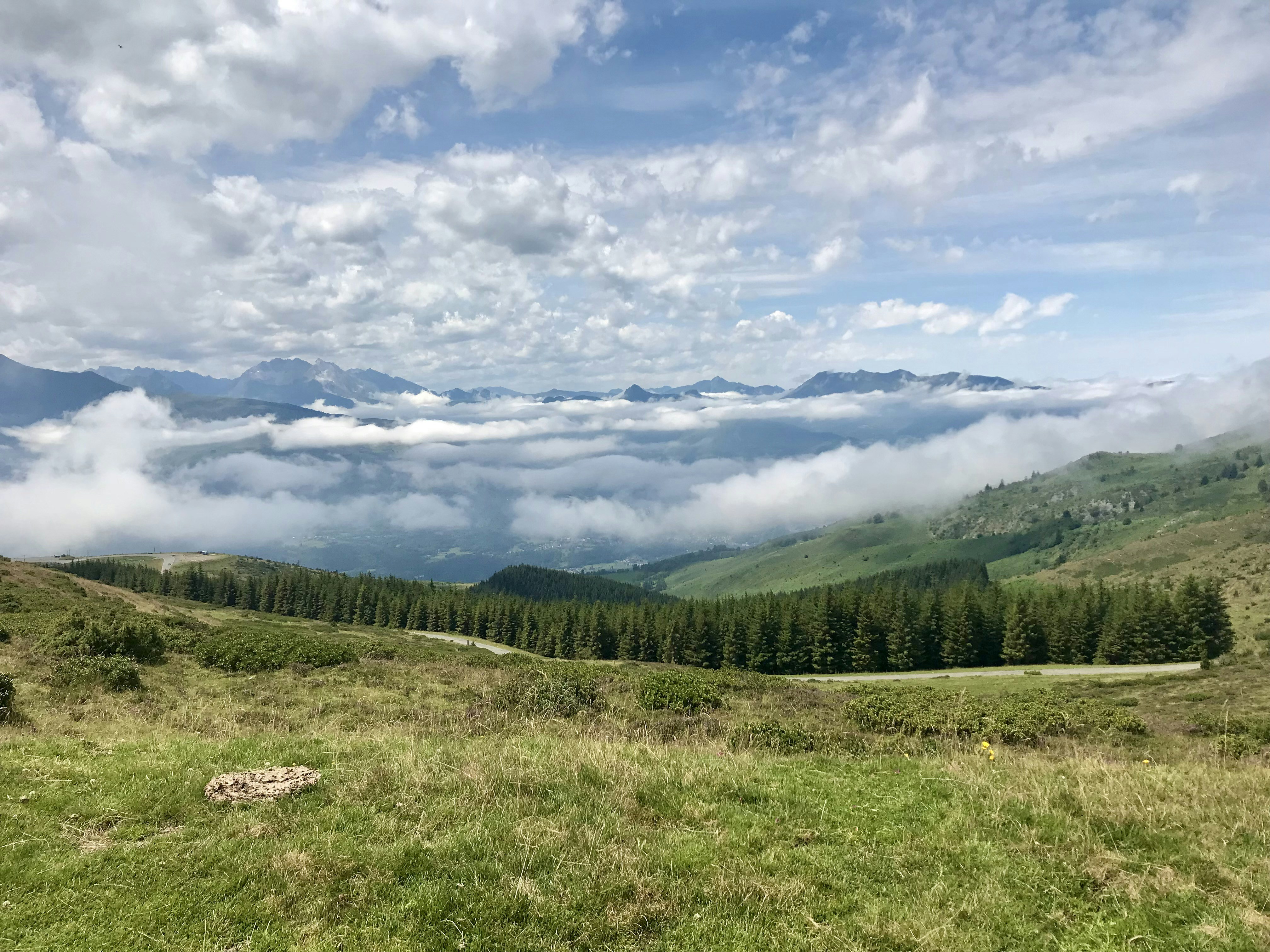 Photo by fauvedereyne