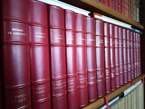 A row of classic books with red leather covers and gold lettering is neatly organized on a wooden bookshelf. The titles and authors' names appear embossed on the spines, suggesting a collection of literary works.