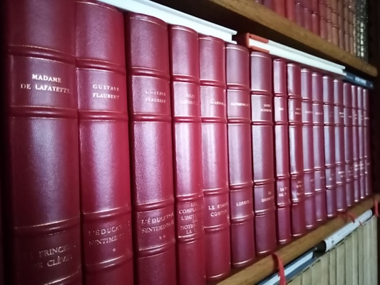 A row of classic books with red leather covers and gold lettering is neatly organized on a wooden bookshelf. The titles and authors' names appear embossed on the spines, suggesting a collection of literary works.