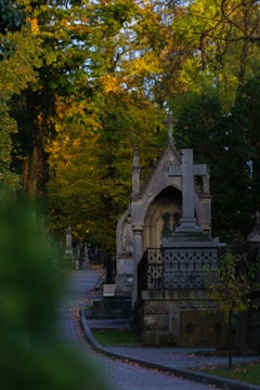 A tranquil cemetery scene with tombstones and ornate mausoleums lining a curving path. The area is surrounded by lush green foliage with sunlight filtering through the trees, casting a serene glow.