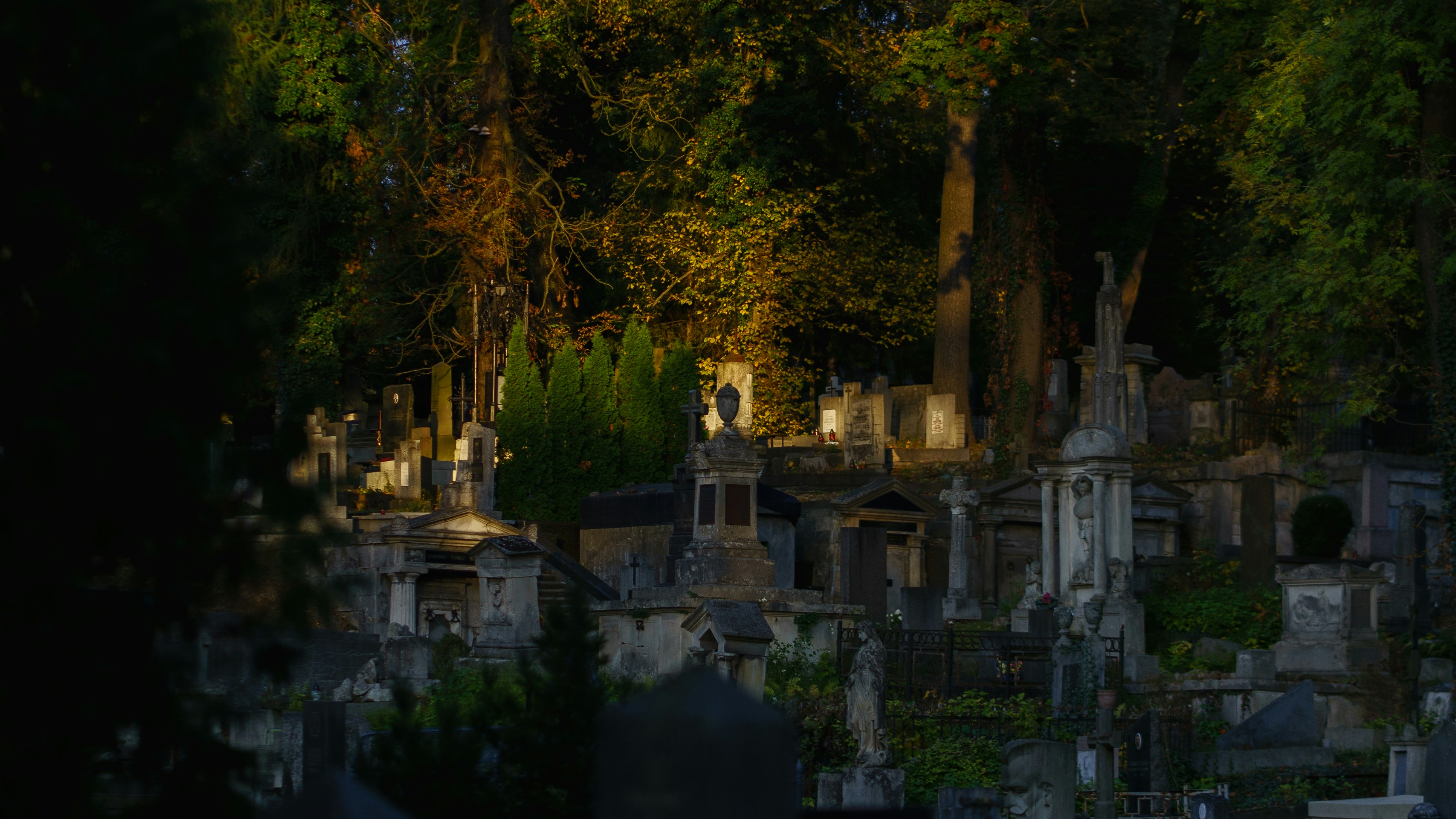 Photo by eugenechystiakov