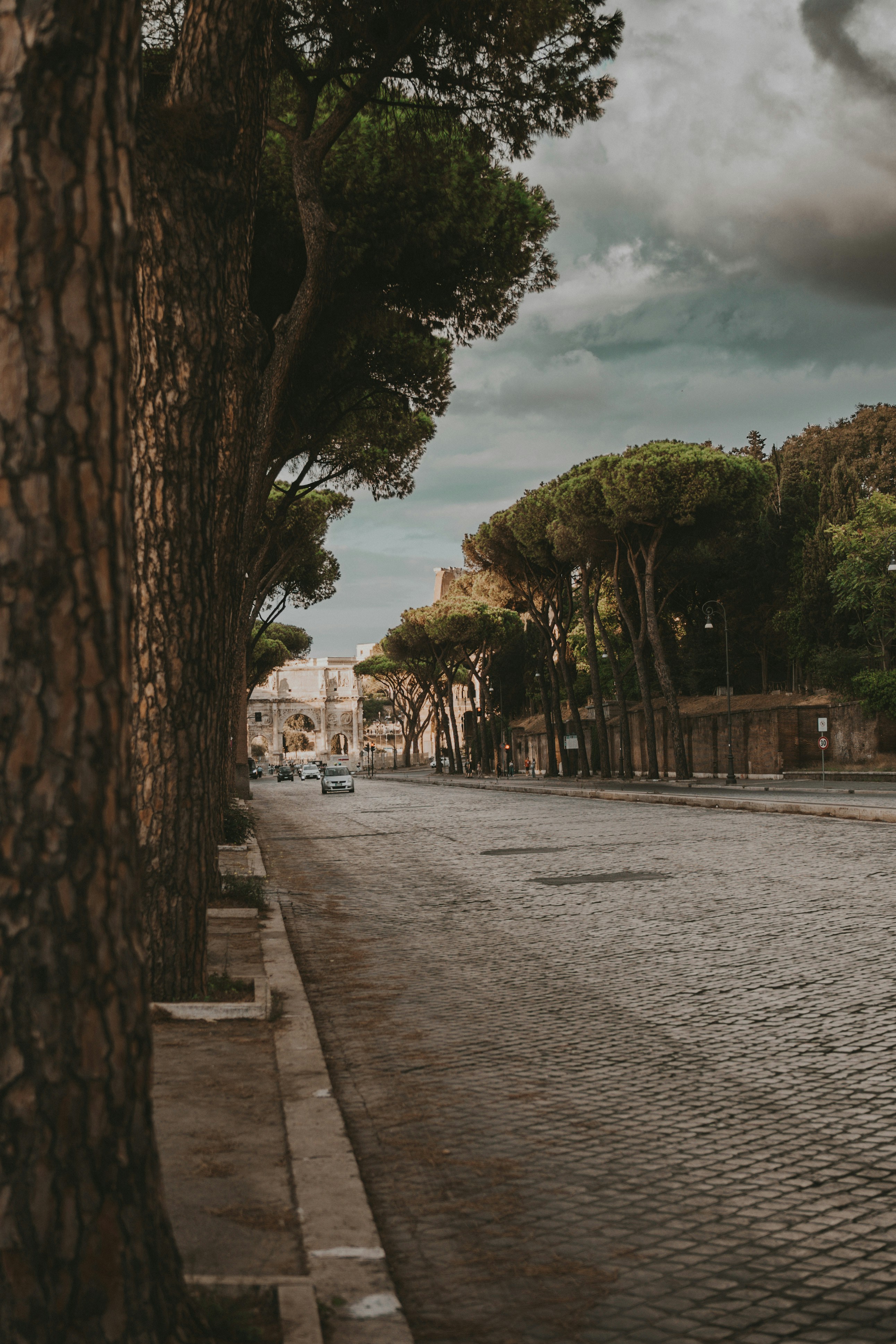 a street lined with trees next to a tall building