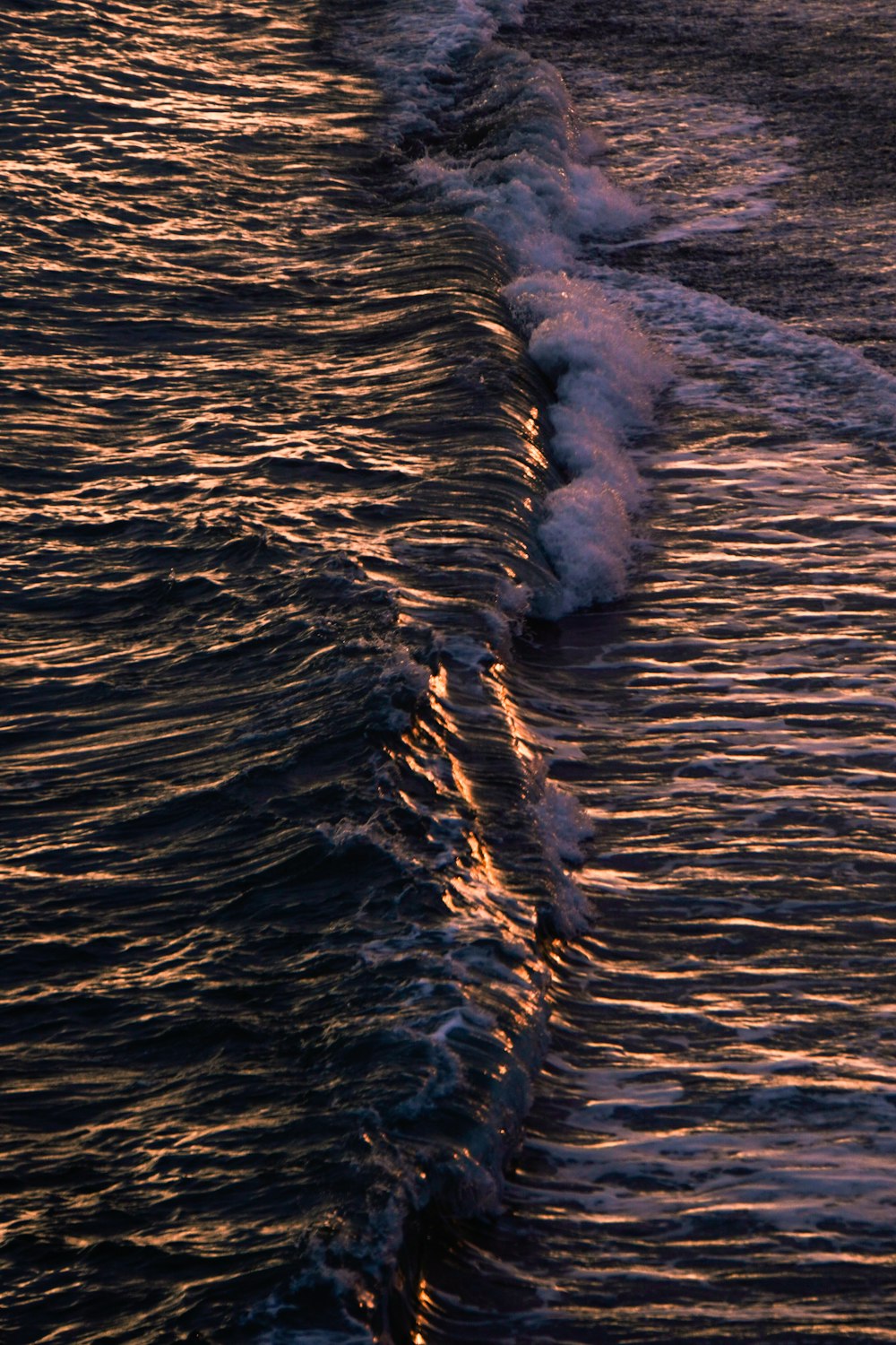 a bird is standing on the edge of the water