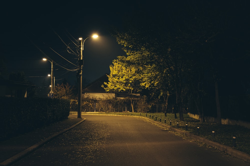 a street at night with street lights and trees