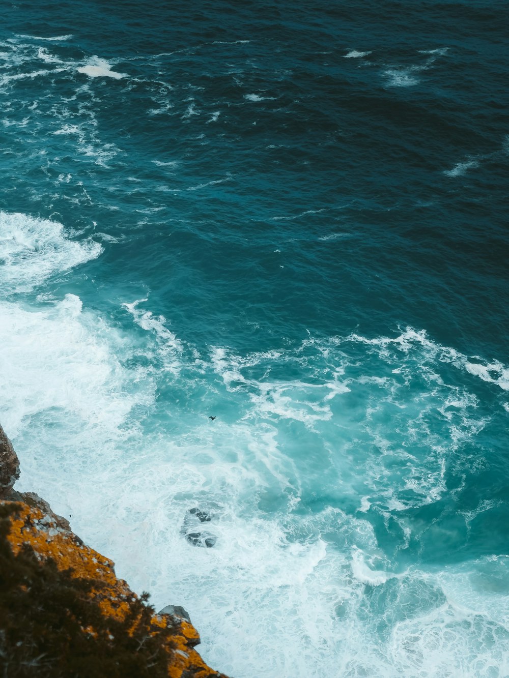 a person standing on the edge of a cliff near the ocean