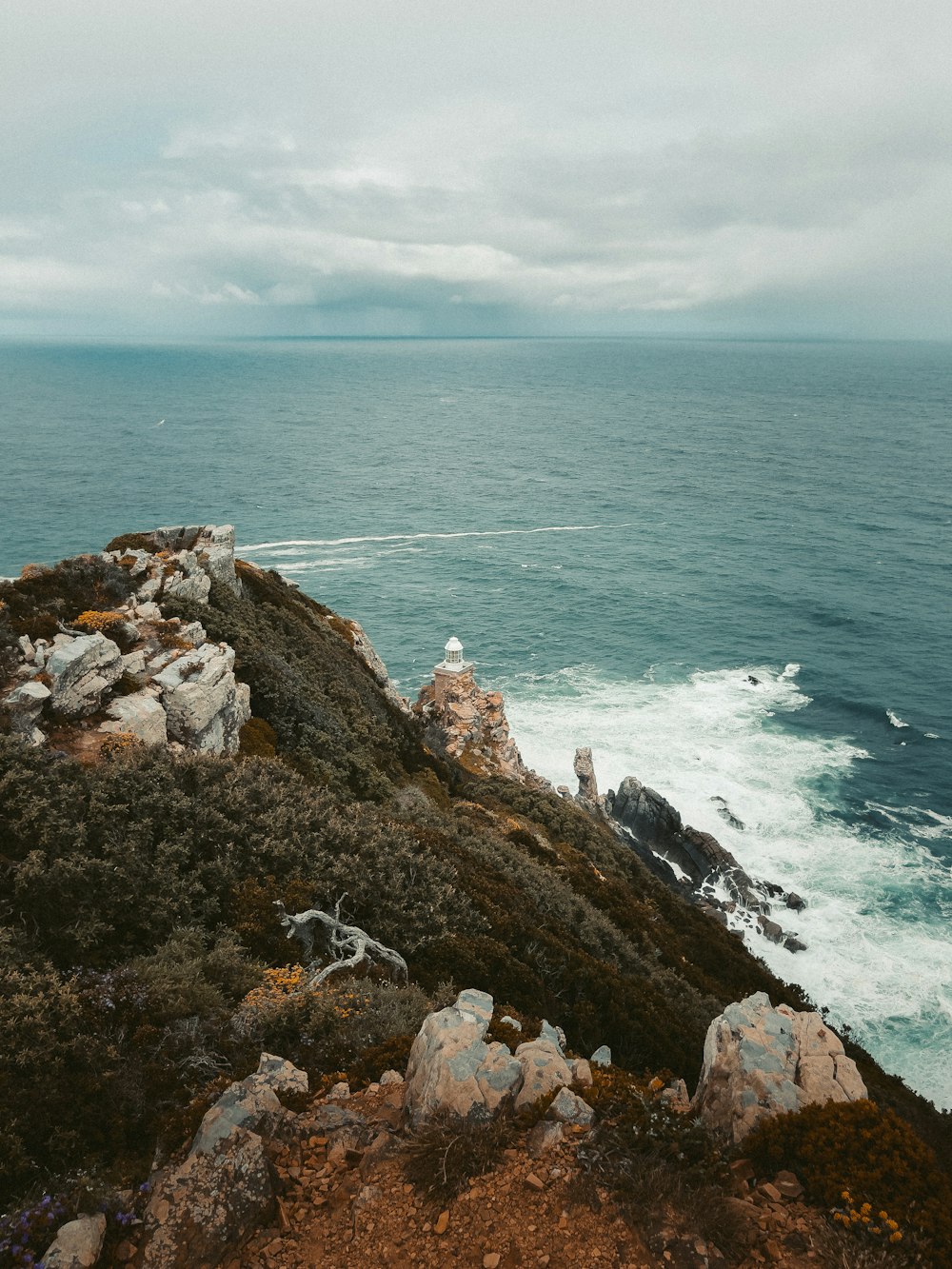 a couple of birds sitting on top of a rocky cliff