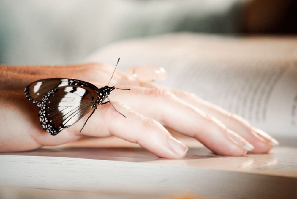 a close up of a person's hand holding a butterfly