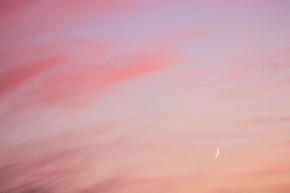 Un cielo rosa con media luna en la distancia