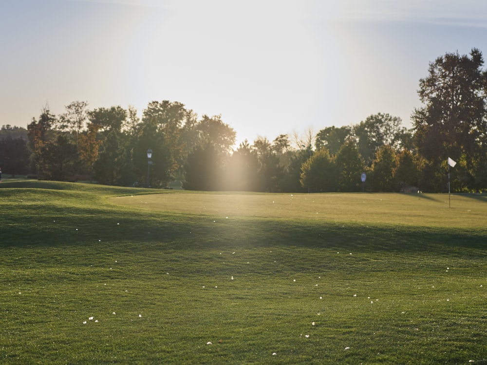 the sun shines brightly on the green of a golf course