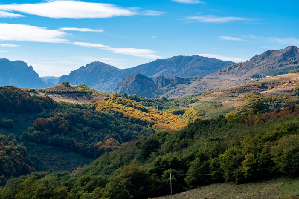 a scenic view of a mountain range with trees in the foreground