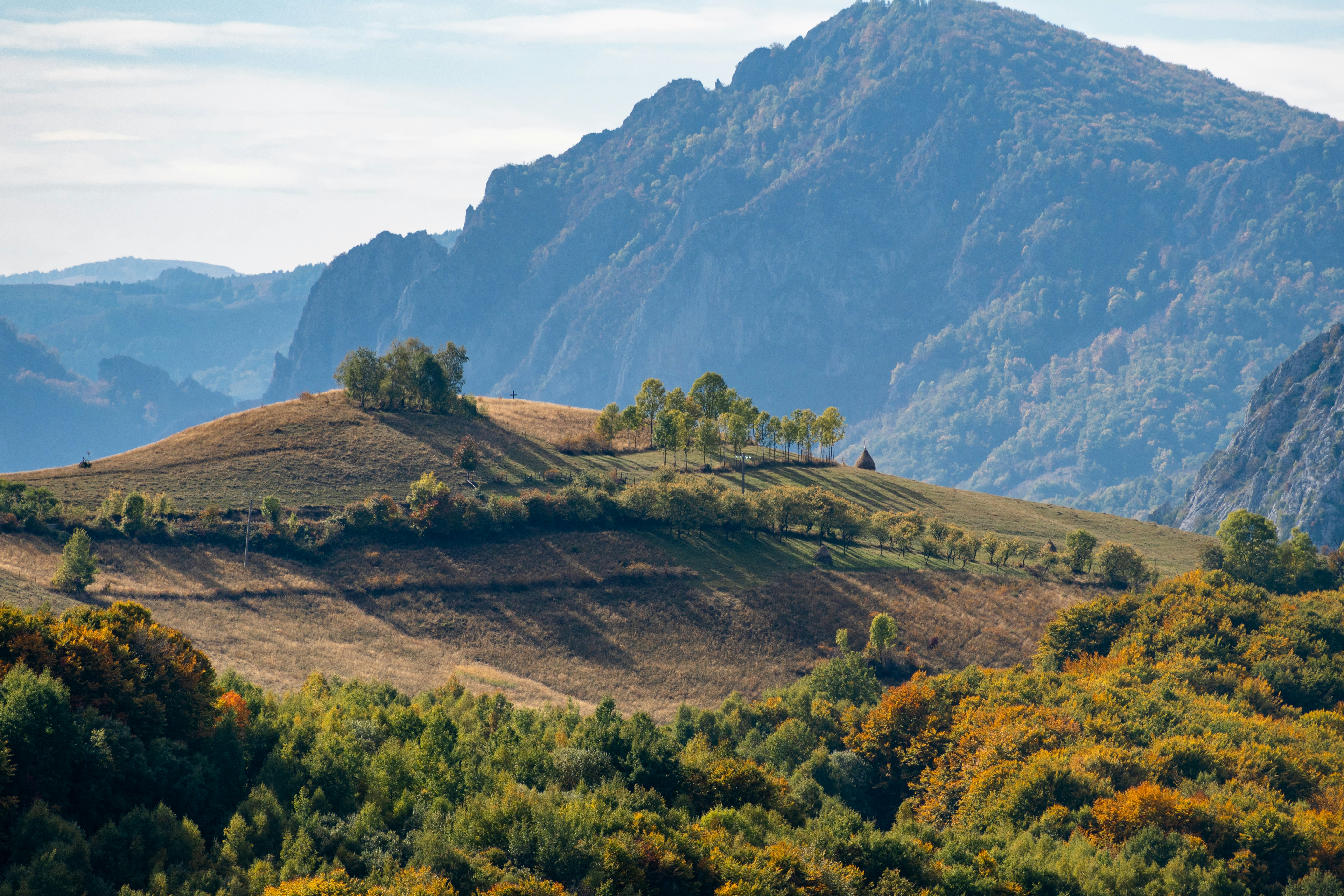 Una cadena montañosa con árboles y montañas al fondo