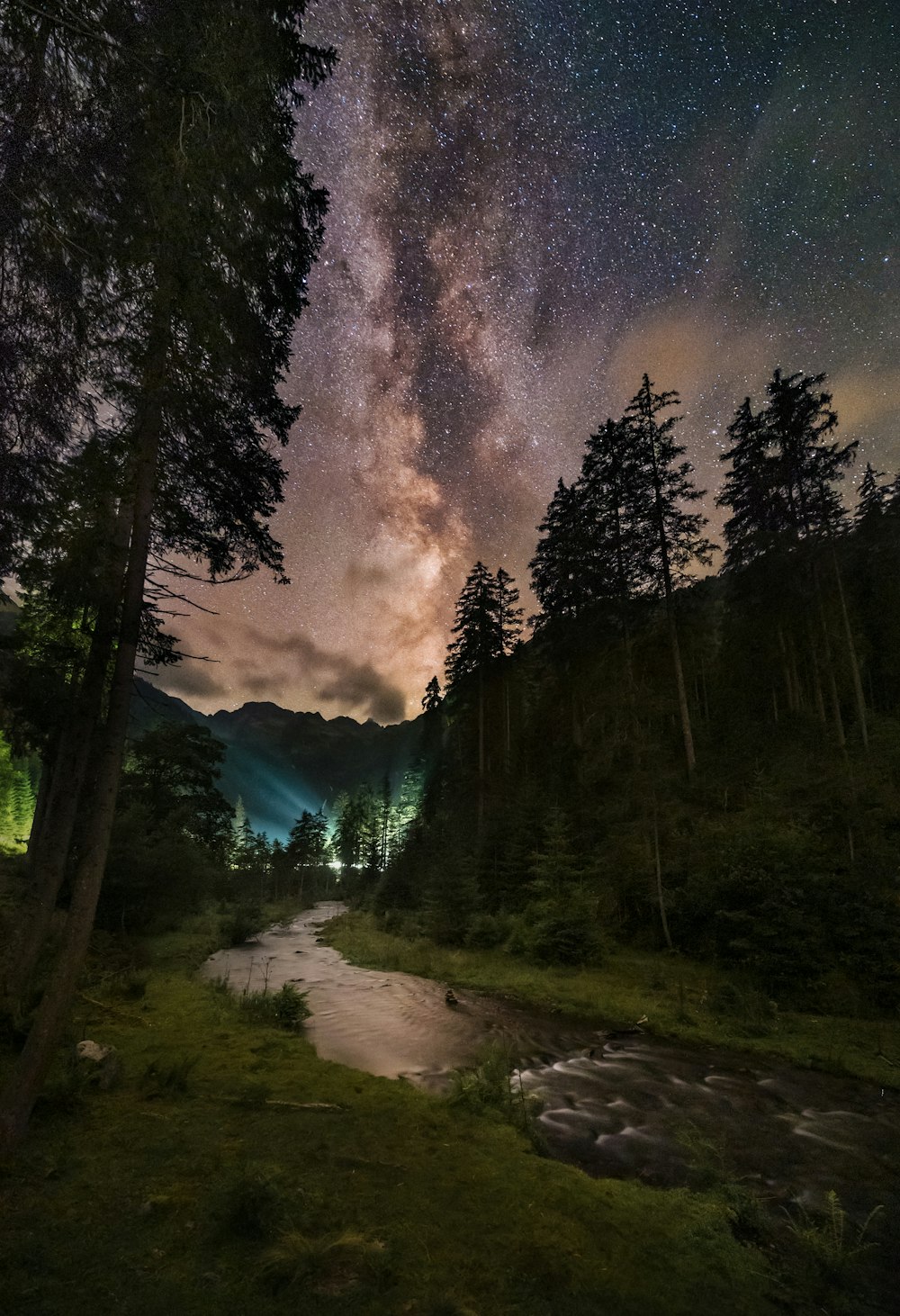 a river running through a lush green forest under a night sky filled with stars