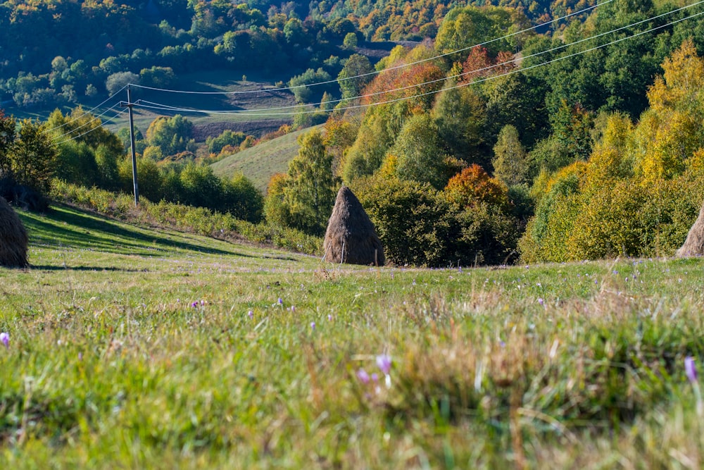 a grassy field with trees and hills in the background