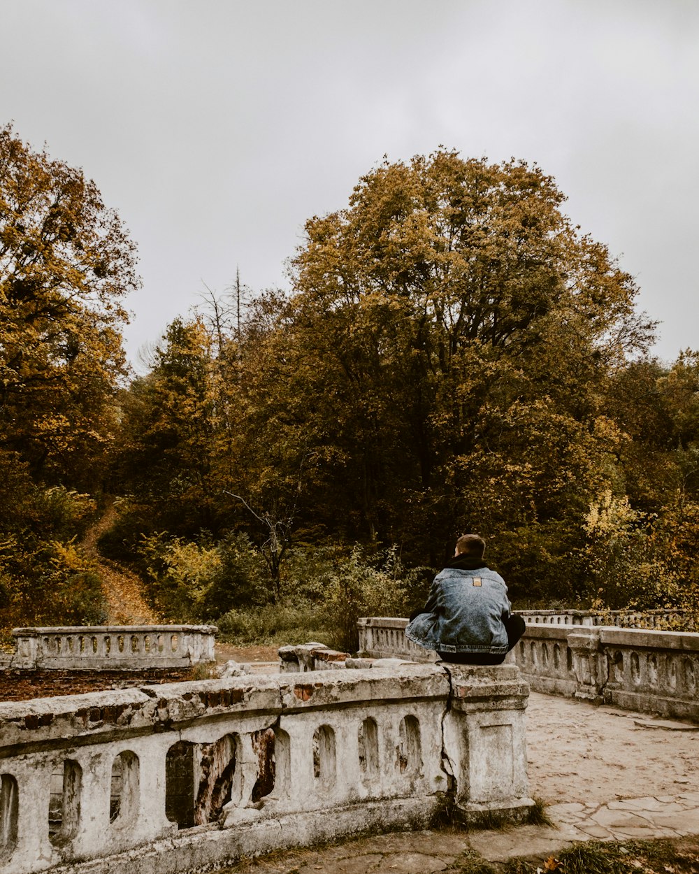 a person sitting on a bridge in the woods