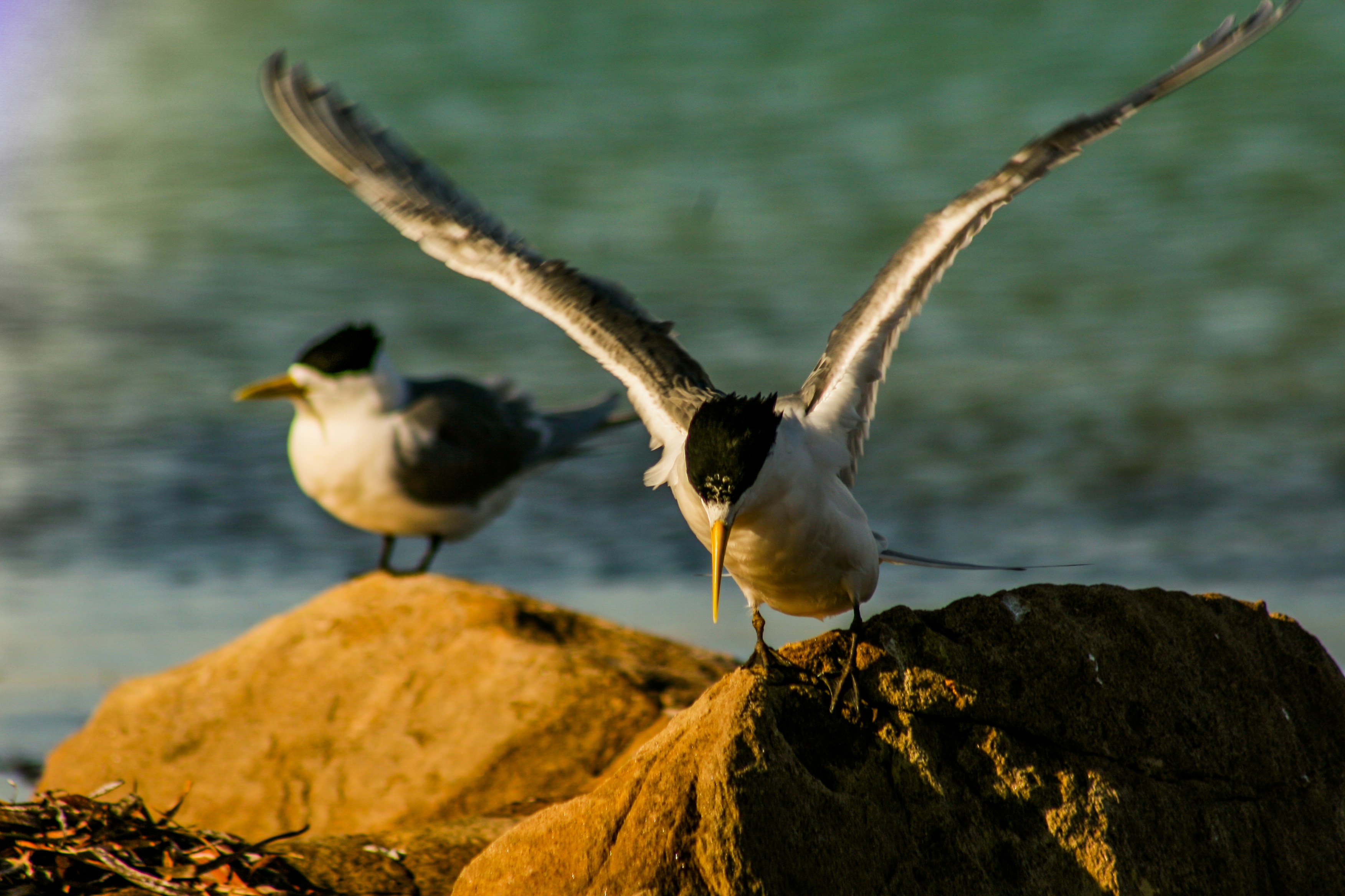 Photo by calemlovelock