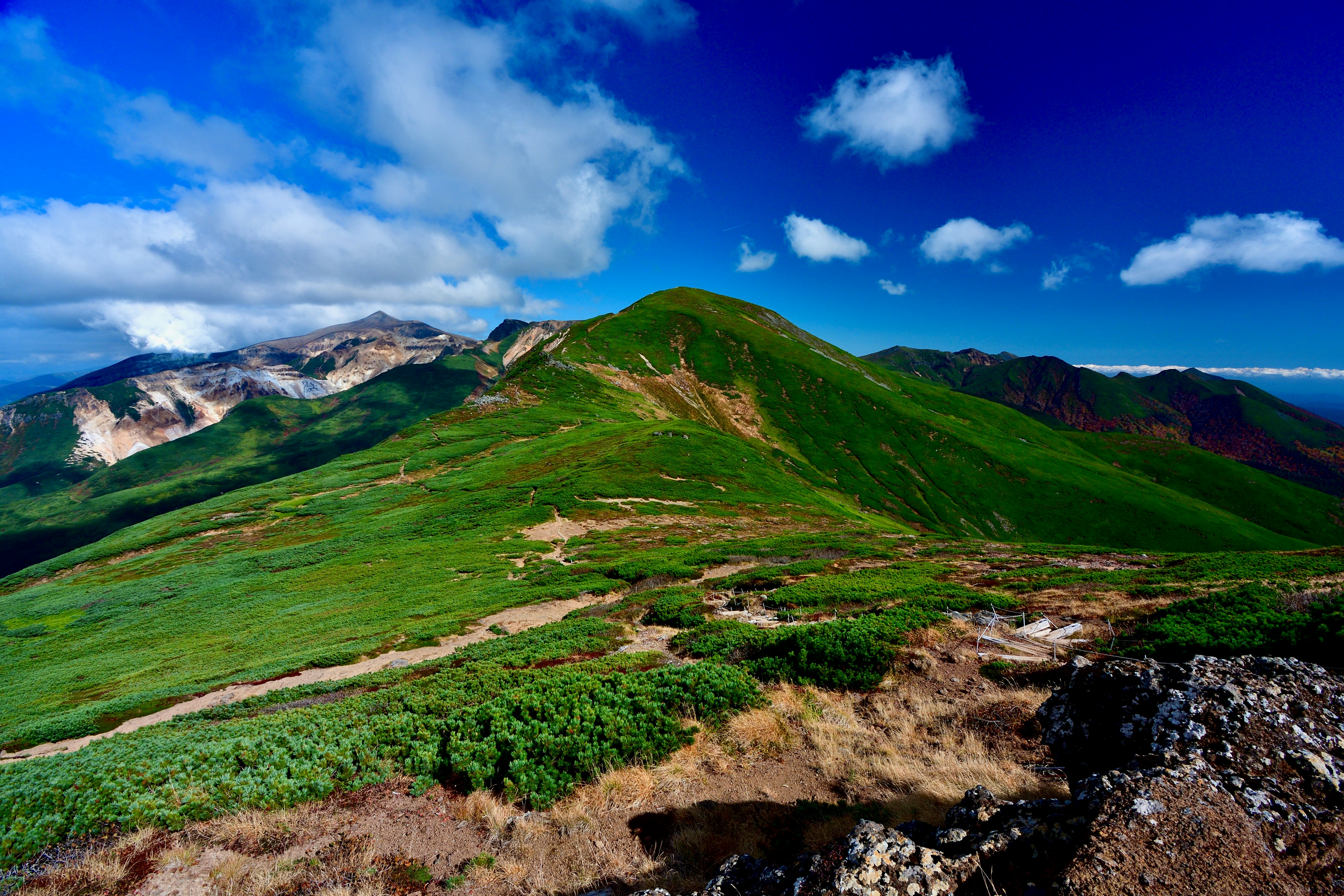 Photo by freezer_nico