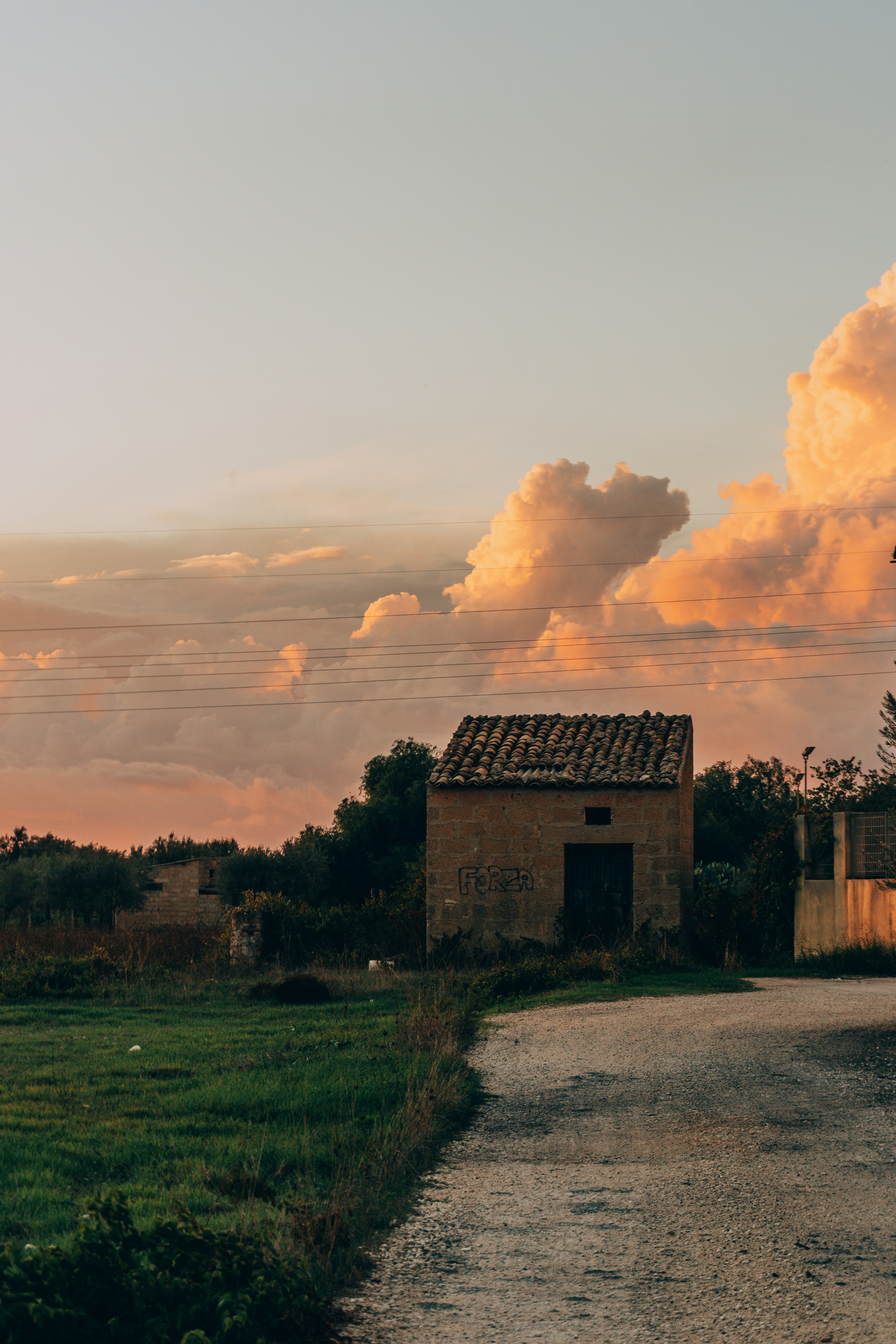 Photo by mrpeppeocchipinti