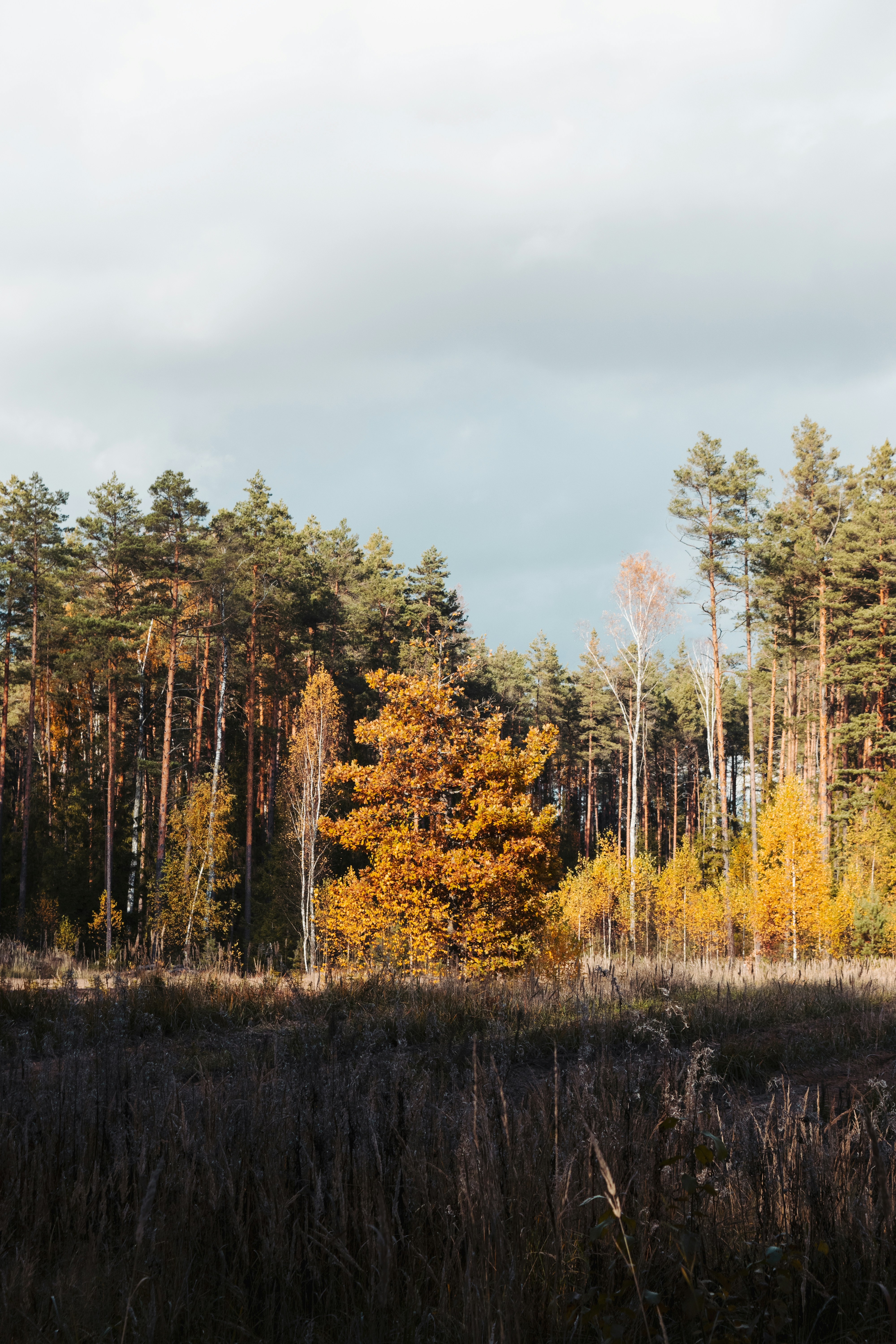 Photo by victoria_tihonovich