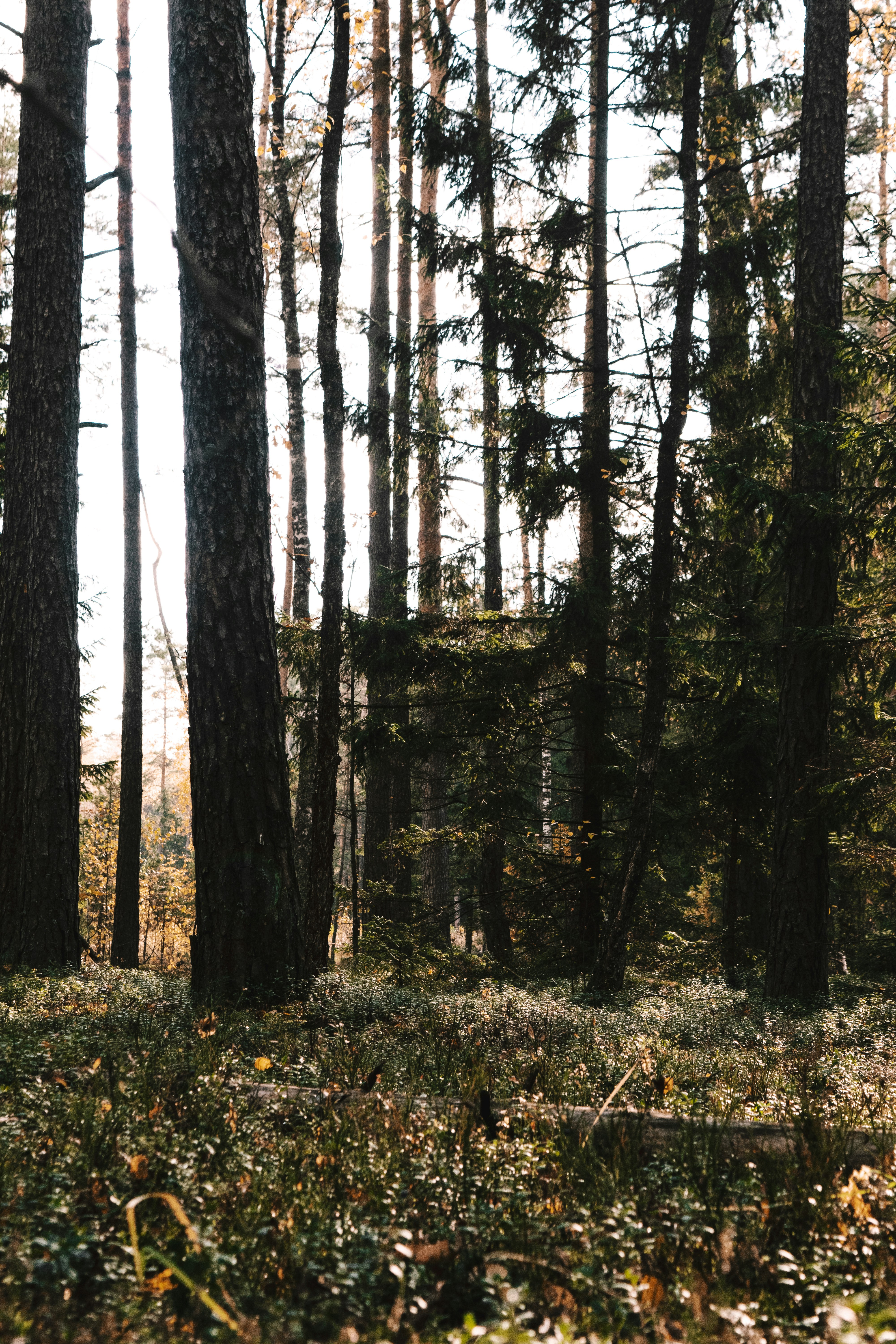 Photo by victoria_tihonovich