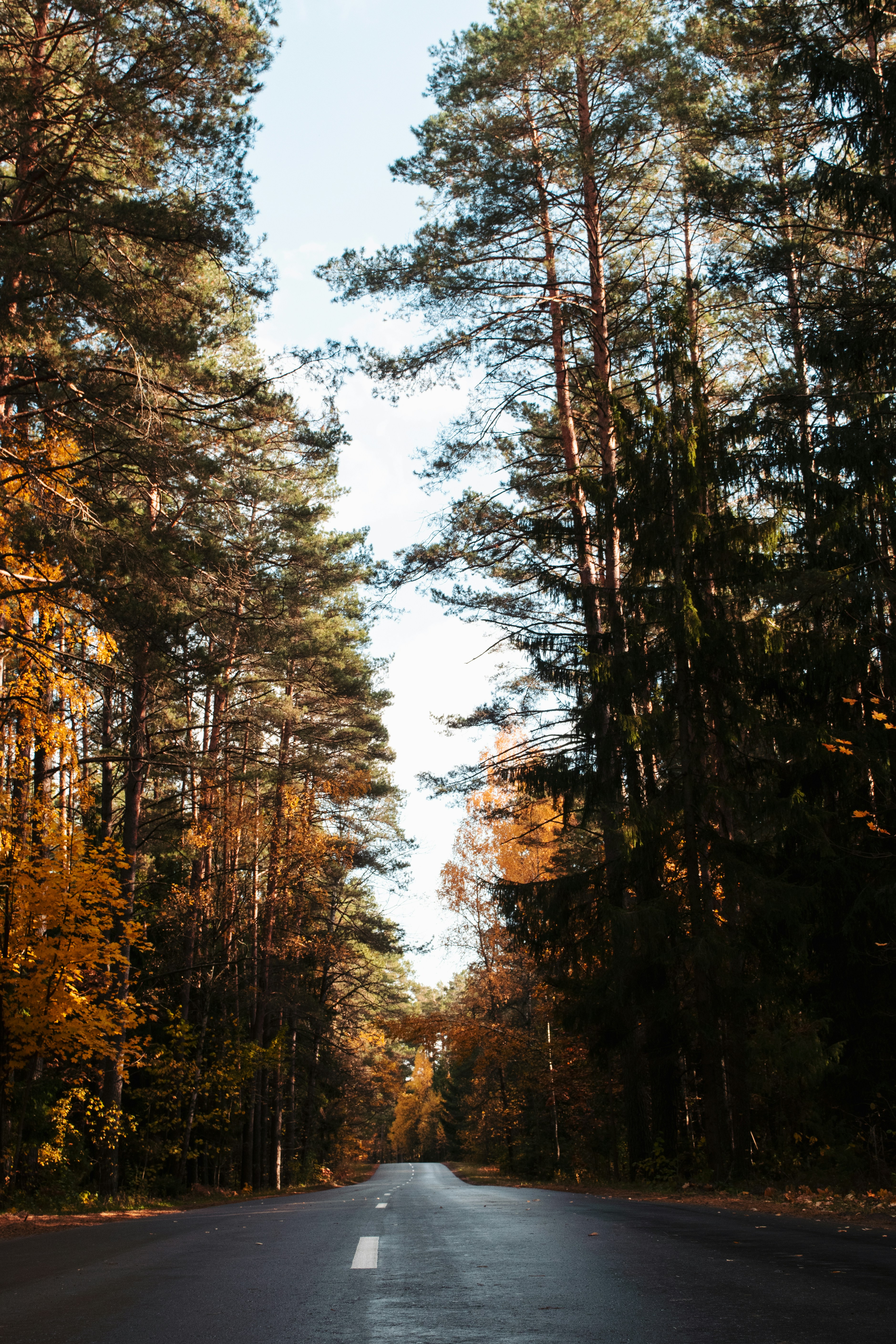 Photo by victoria_tihonovich