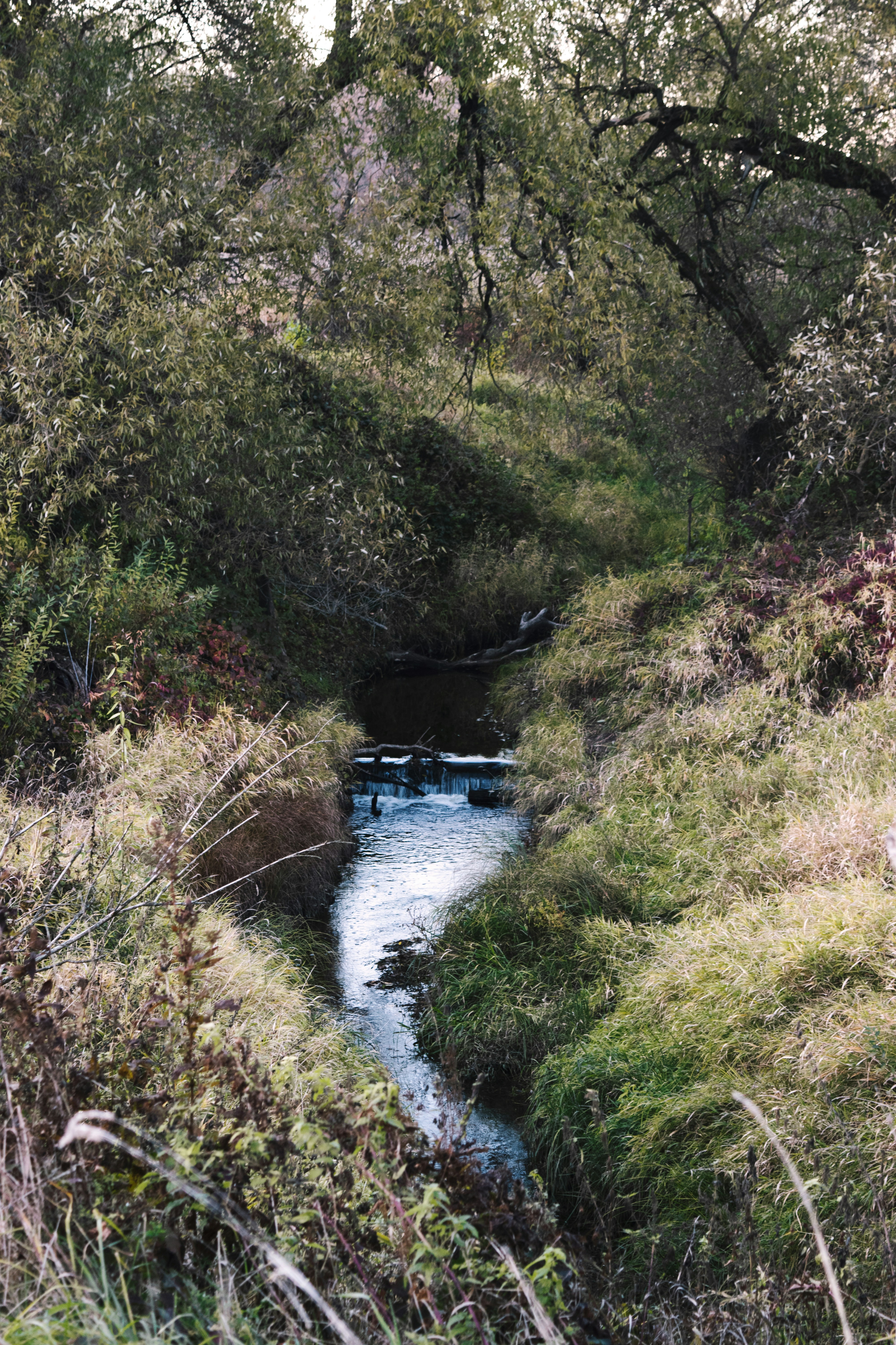 Photo by victoria_tihonovich