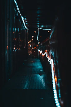 A dimly lit alley glowing with neon red and gold lights, hinting at a hidden club entrance.