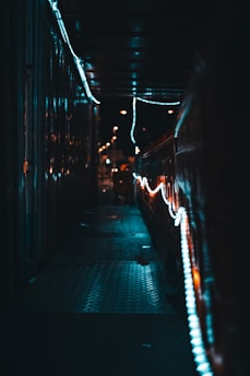 A shadowy alley lit by flickering neon signs, hinting at a hidden underground club entrance.
