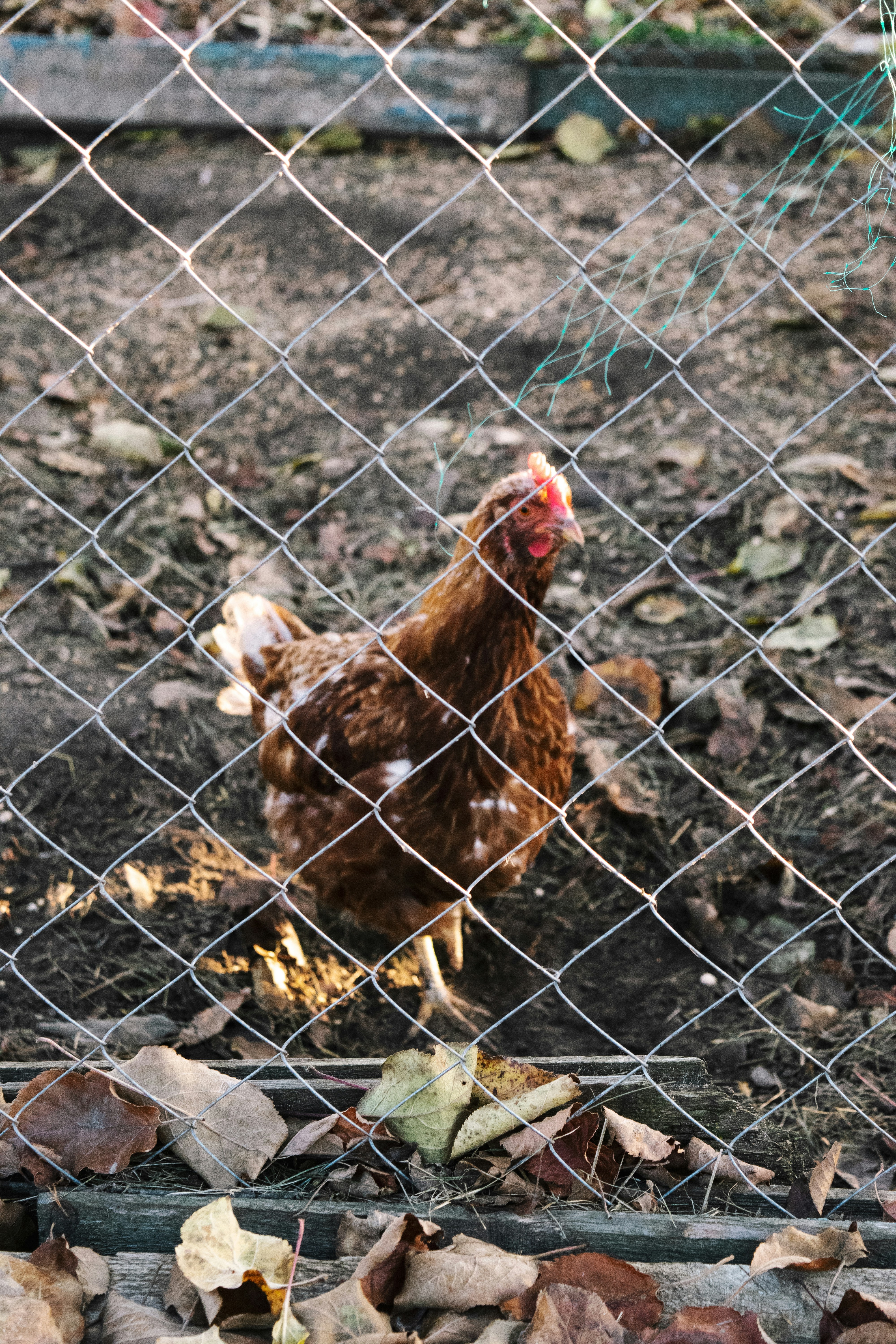 Photo by victoria_tihonovich