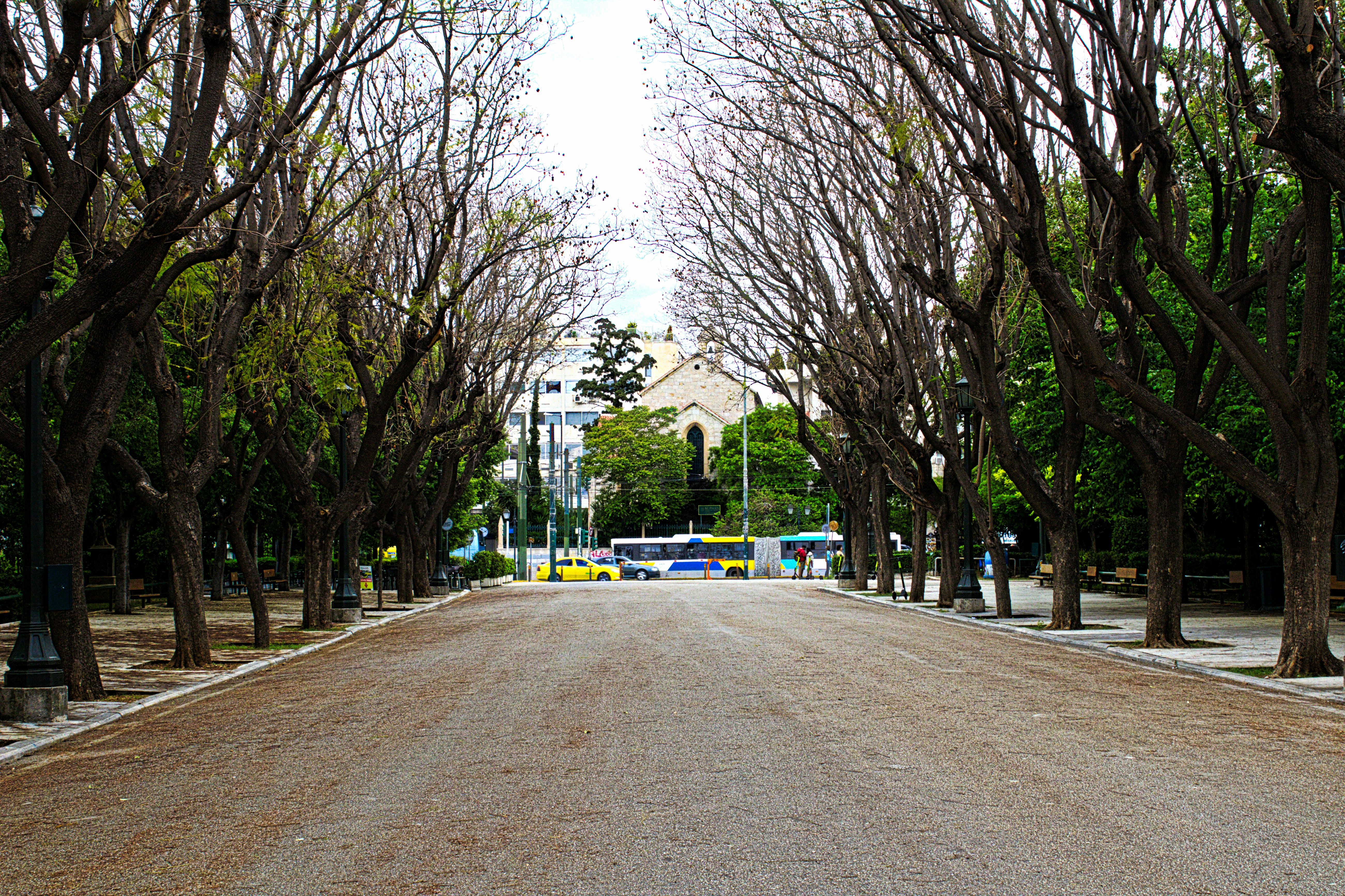 a street lined with trees and a bus