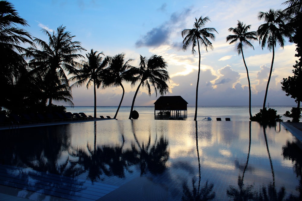 a large swimming pool surrounded by palm trees